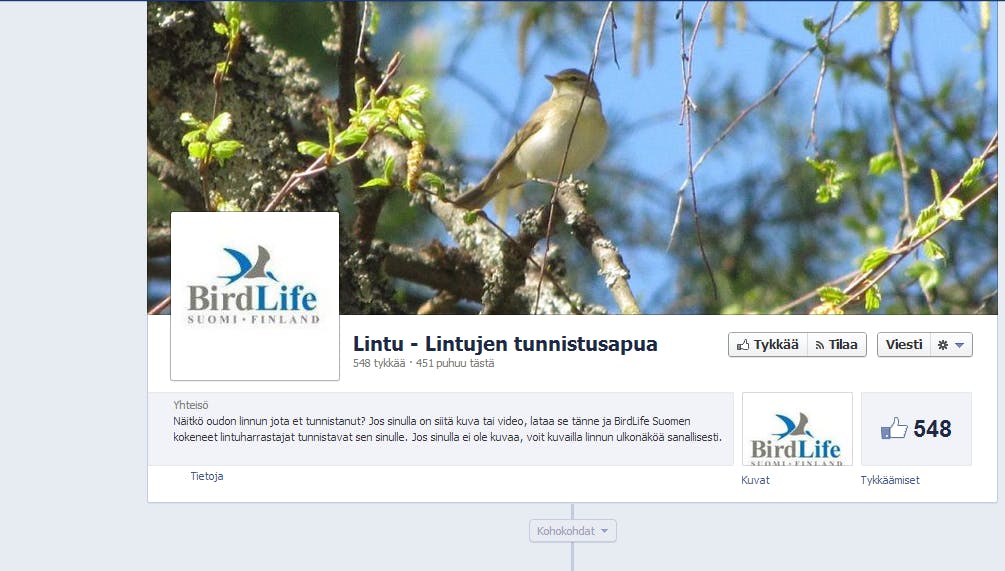birdlifefb