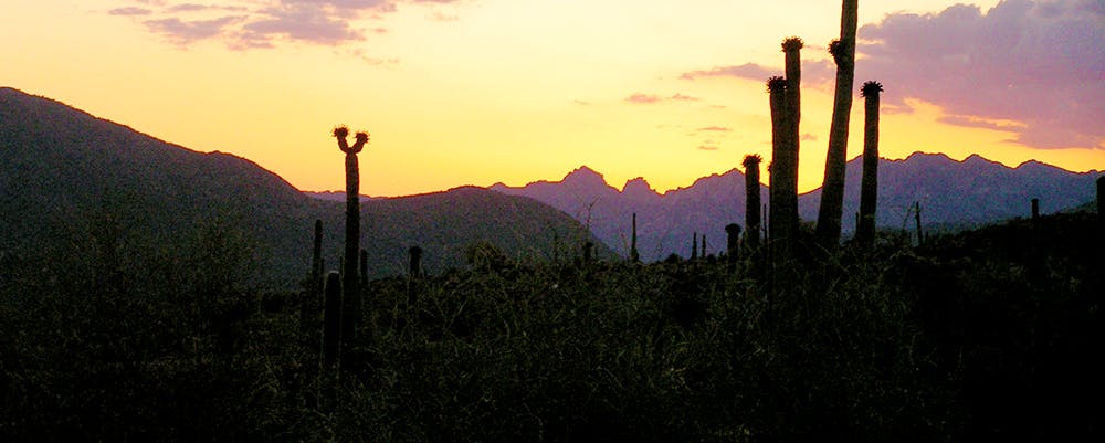New Mexico
