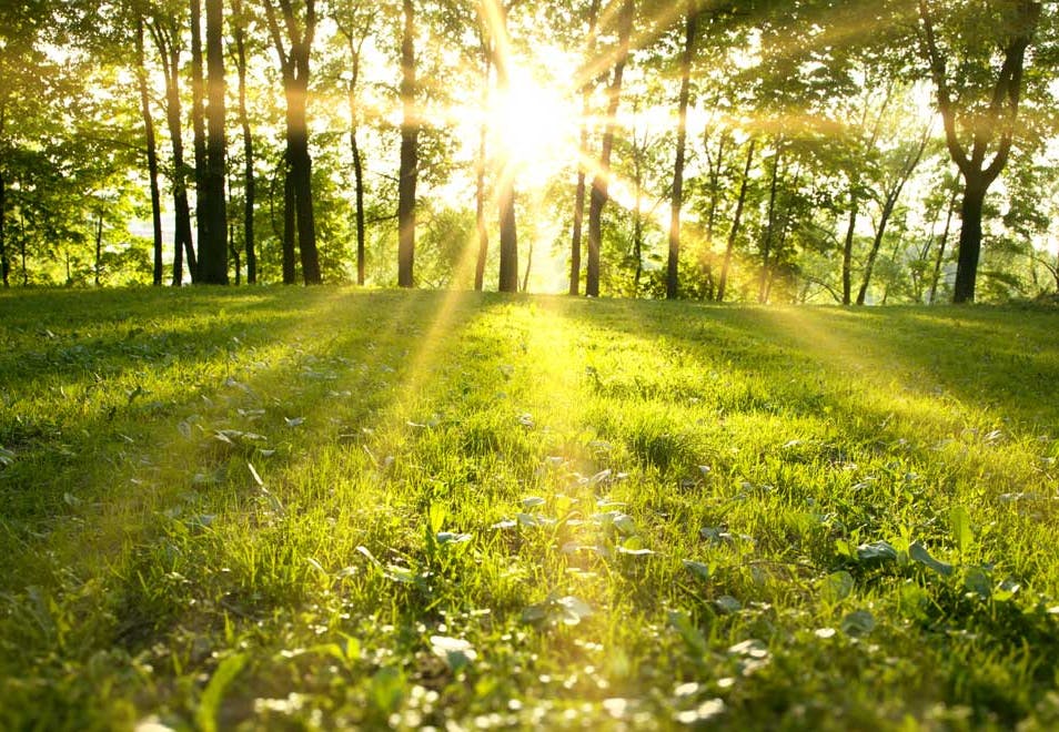 Lente-equinox