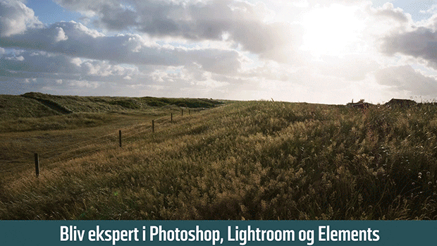 Digital FOTO 100 tips og kurser eksempel
