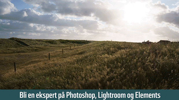 Digital FOTO 100 tips og kurs eksempel