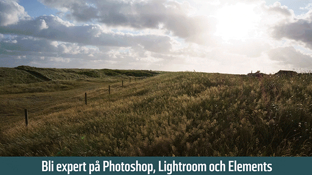 Bonnier Digital FOTO 100 tips och kurser exempel