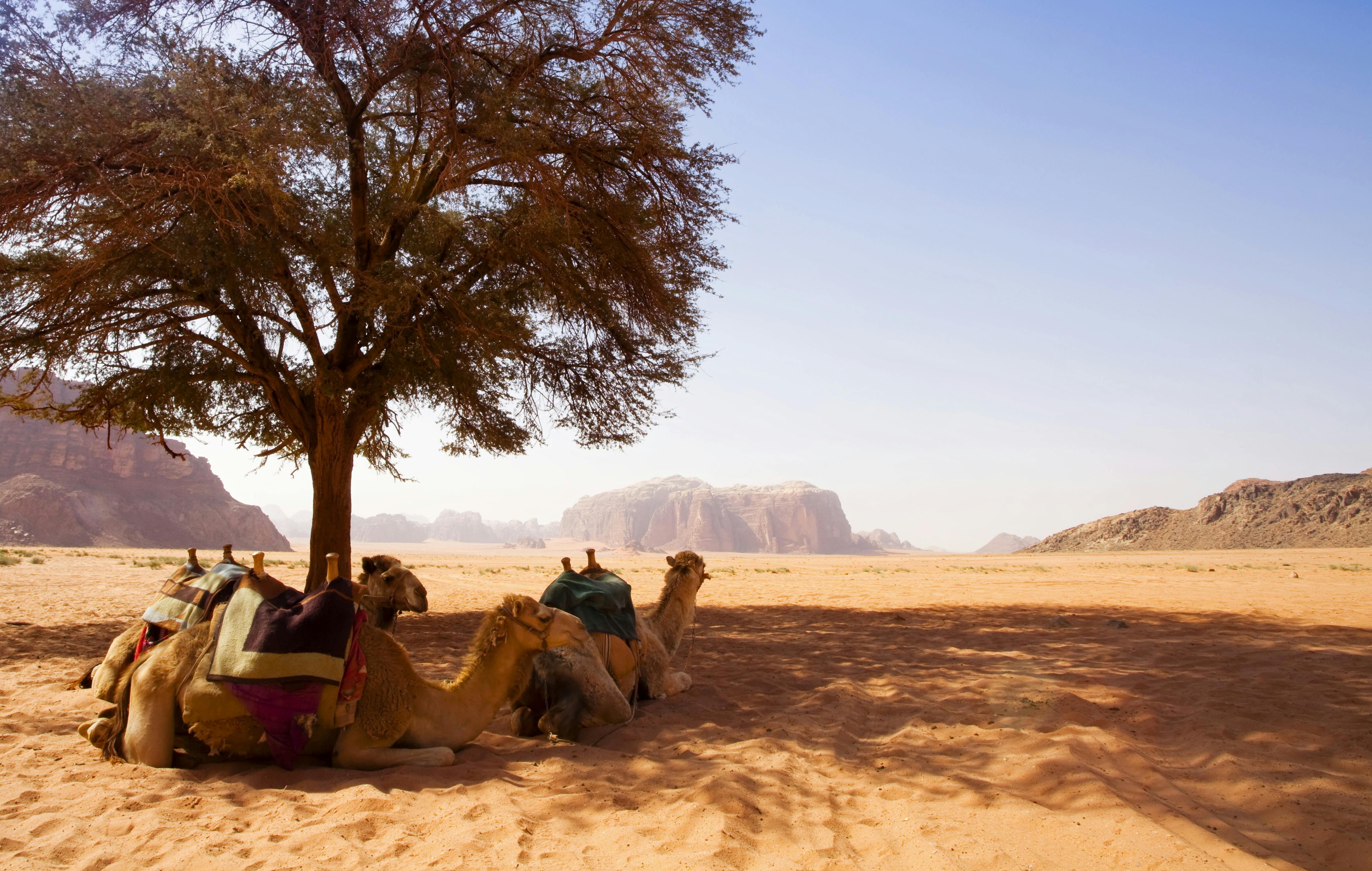 Wadi Rum
