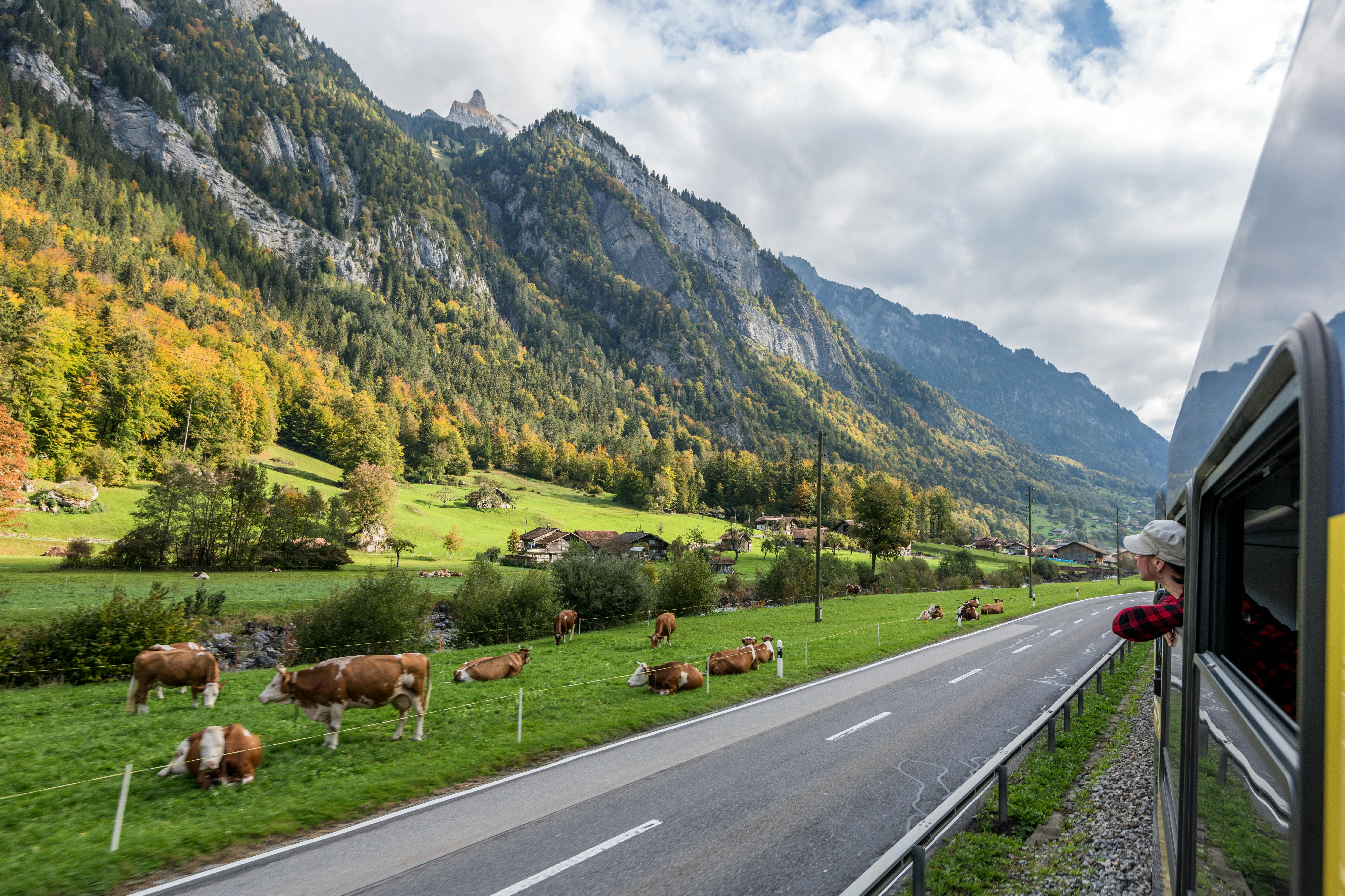 Schweiz er så smukt, og vejen til Zürich er hele oplevelse værd! Tog i Schweiz