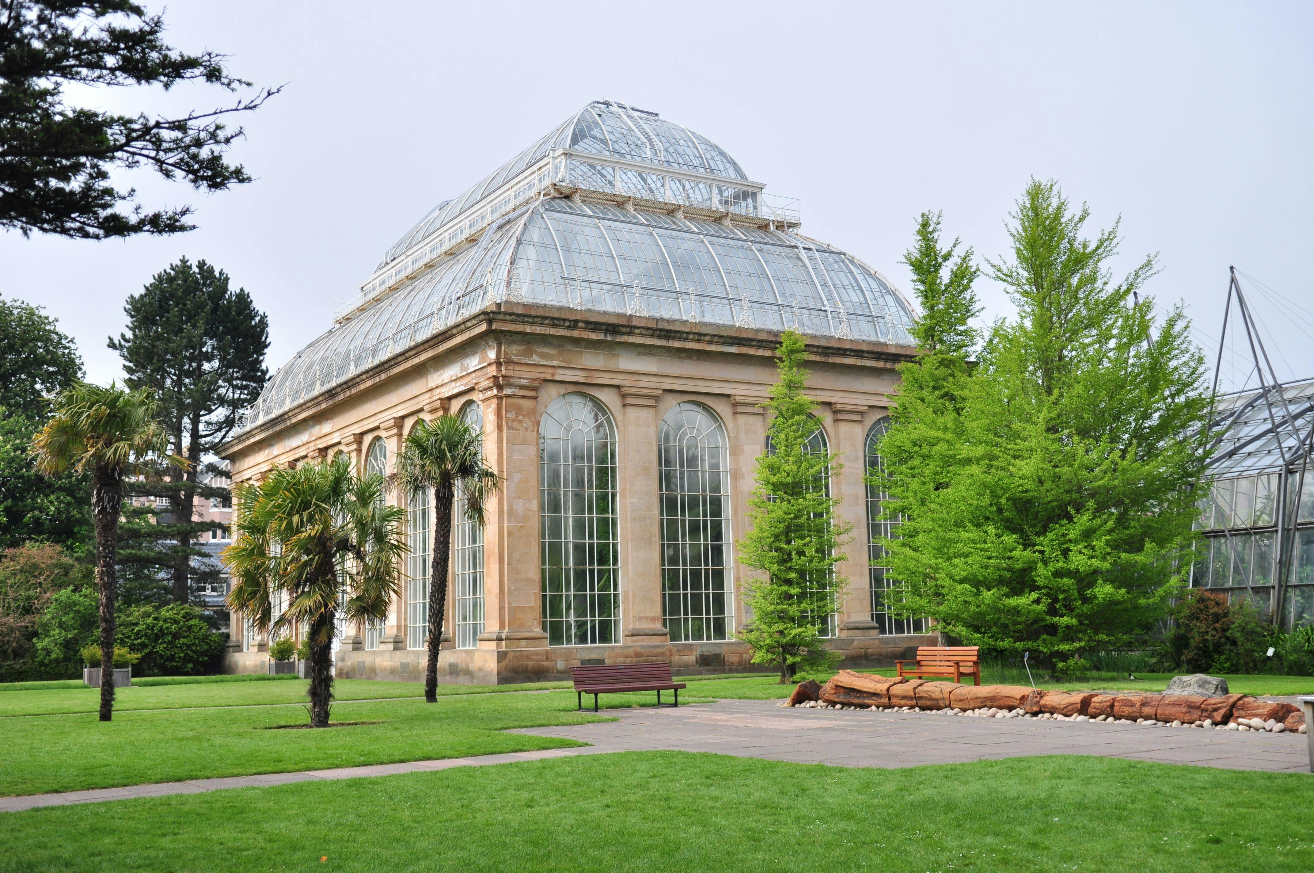 Hvil øjnene på alt det grønne i Royal Botanic Garden Hvil øjnene på alt det grønne i Royal Botanic Garden