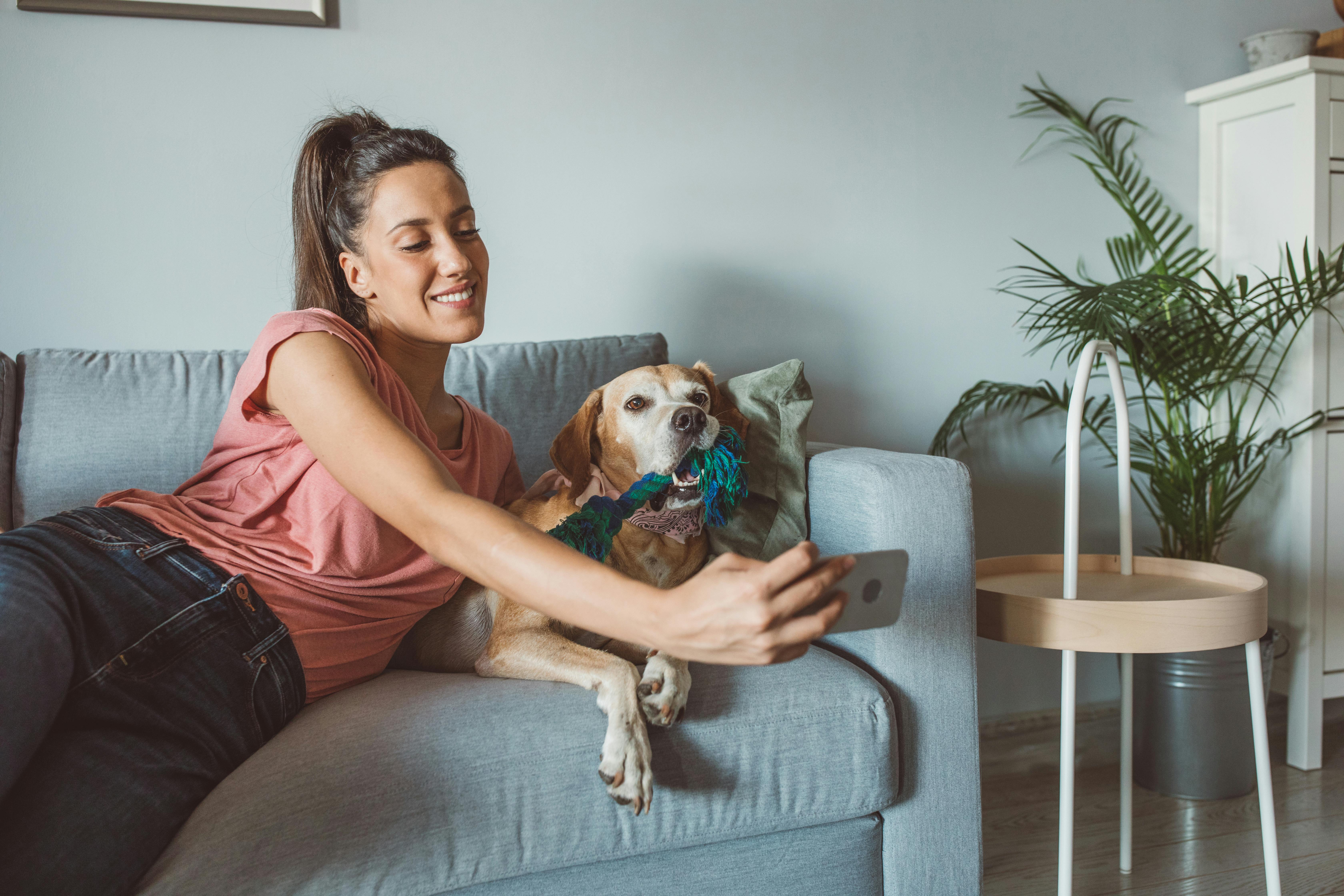 Søde hunde tiltrækker flere matches på Tinder! Kvinde og hund på sofa tager billede