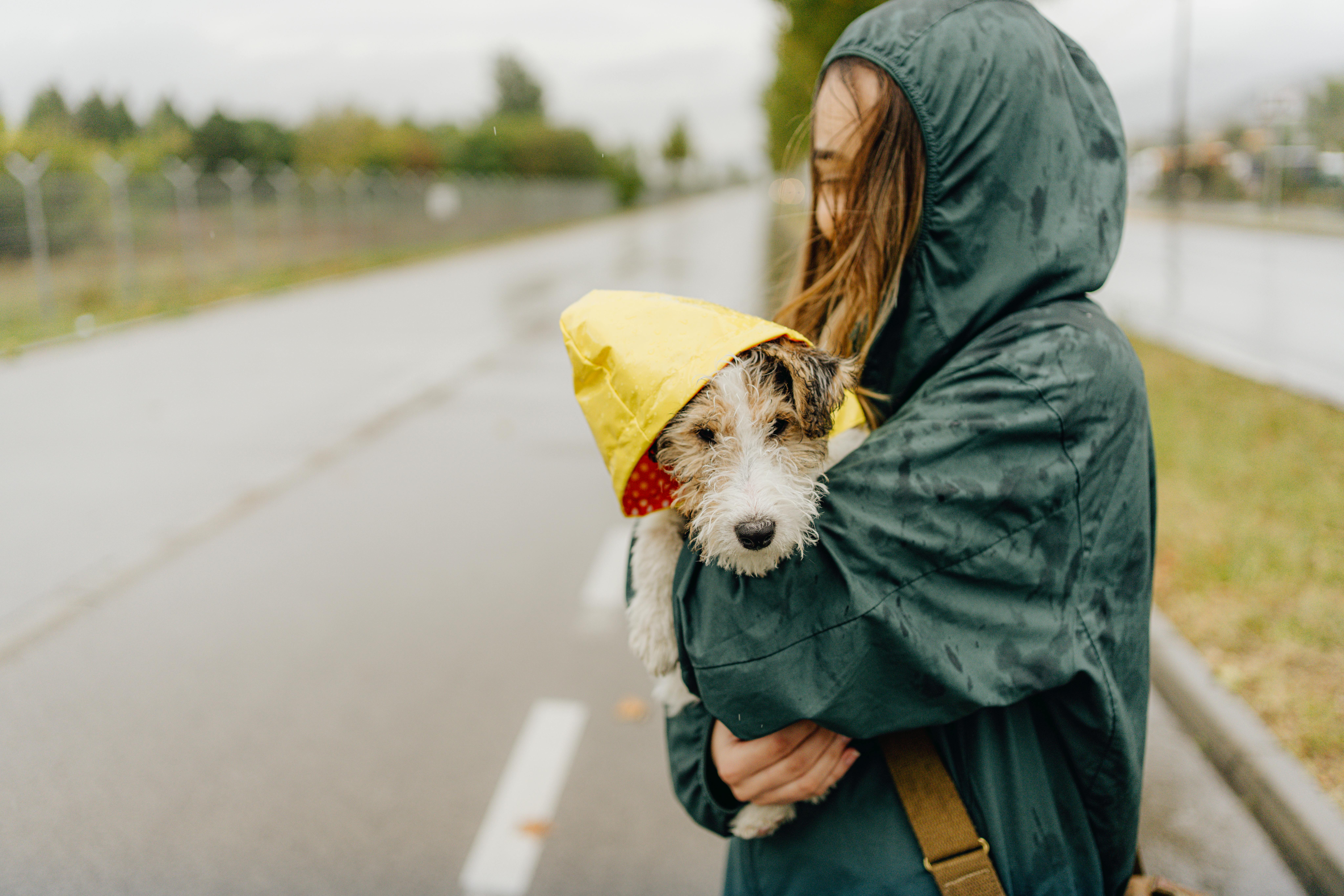 Inviter din hund, din veninde eller din kæreste med på en hyggelig gåtur i regnvejret. Pige i regnvejr