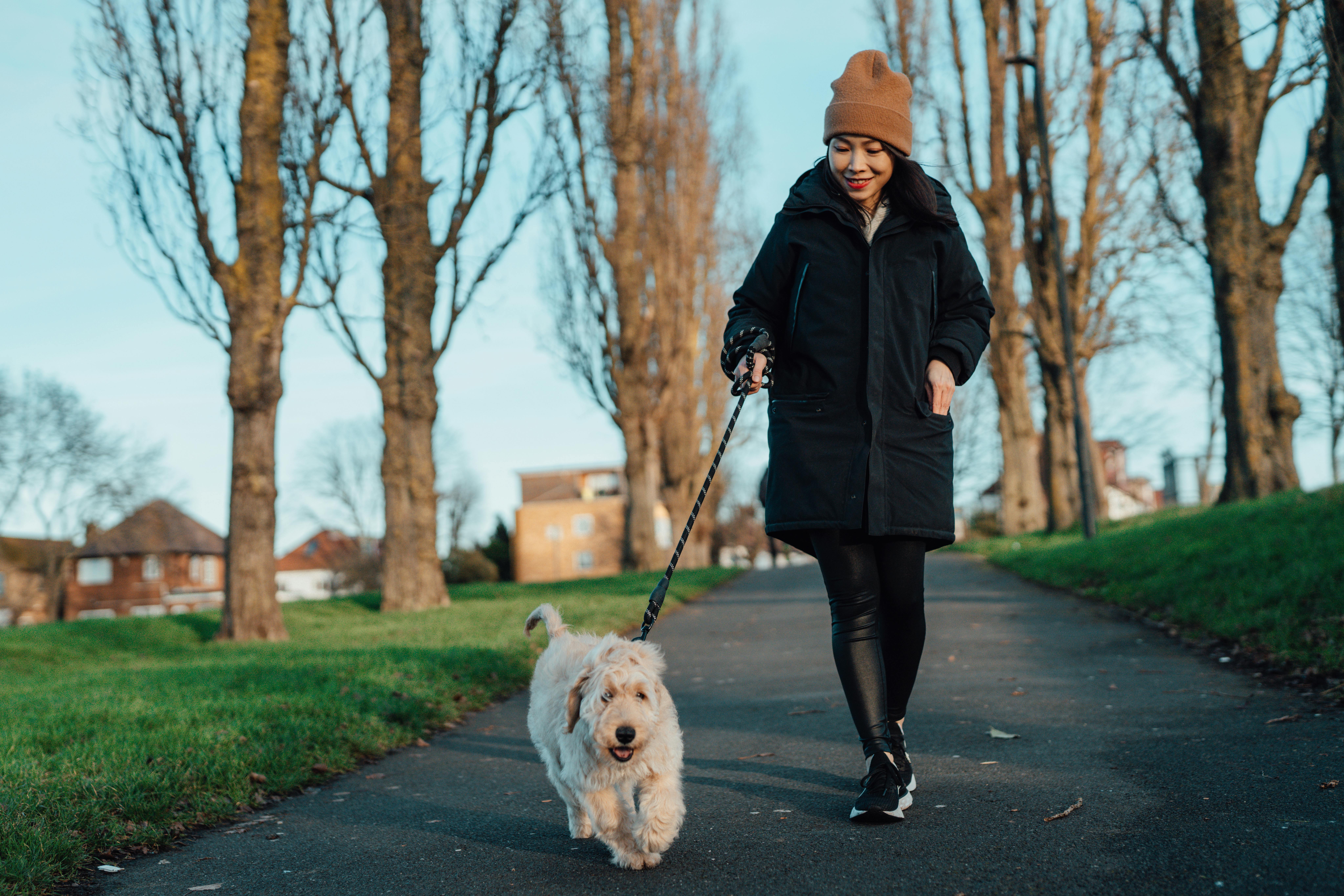 Gå tur med din (venindes) hund, og mød nye mennesker! Kvinde med hund