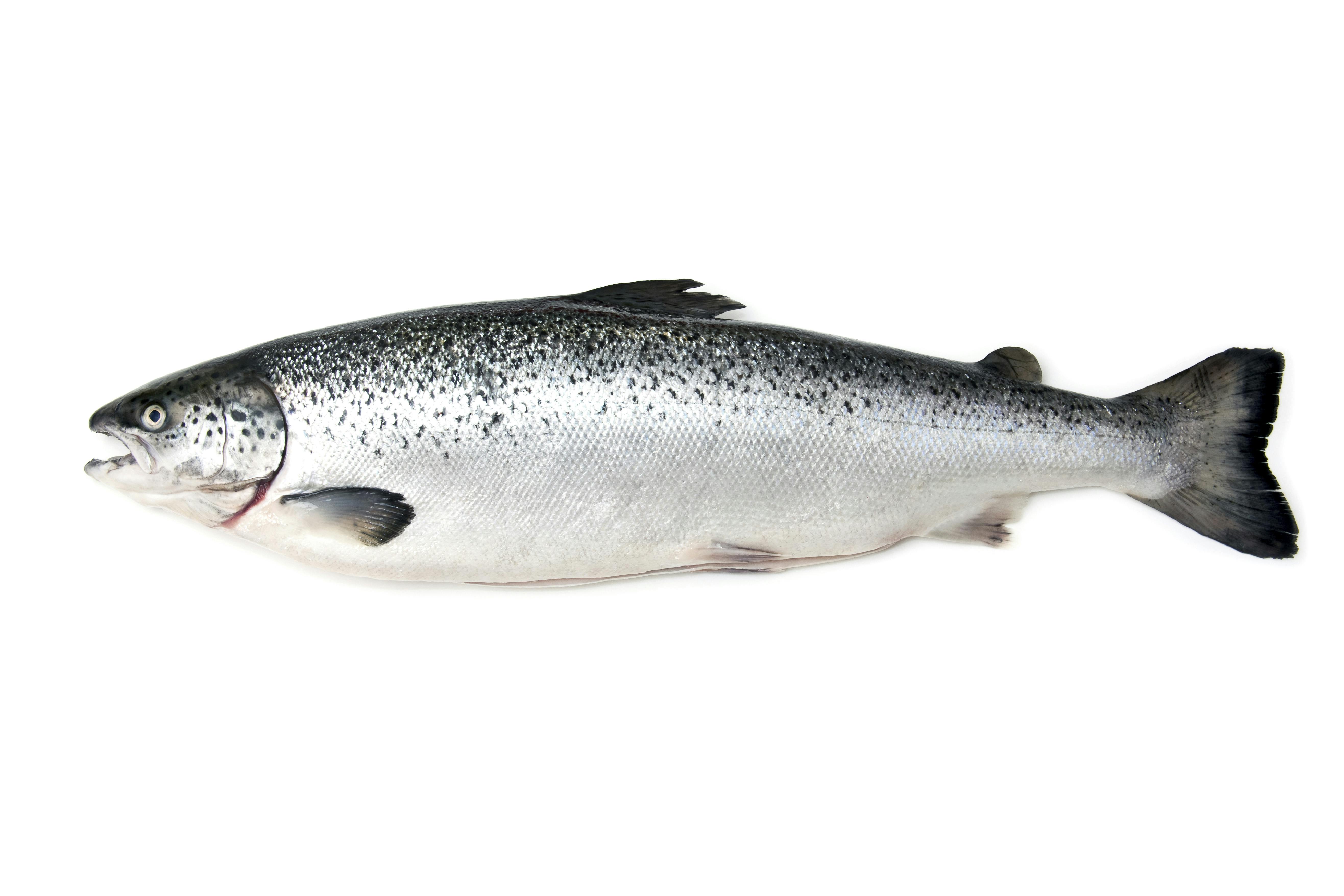 D-vitamin, Næringen som skjelettet og leddene dine trenger