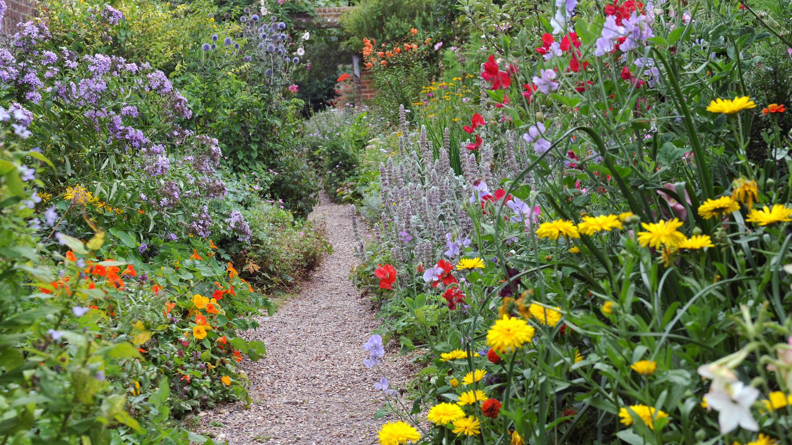 Heldigvis er der mange timer i haven tilbage i august og september. Frodigt blomsterbed i august