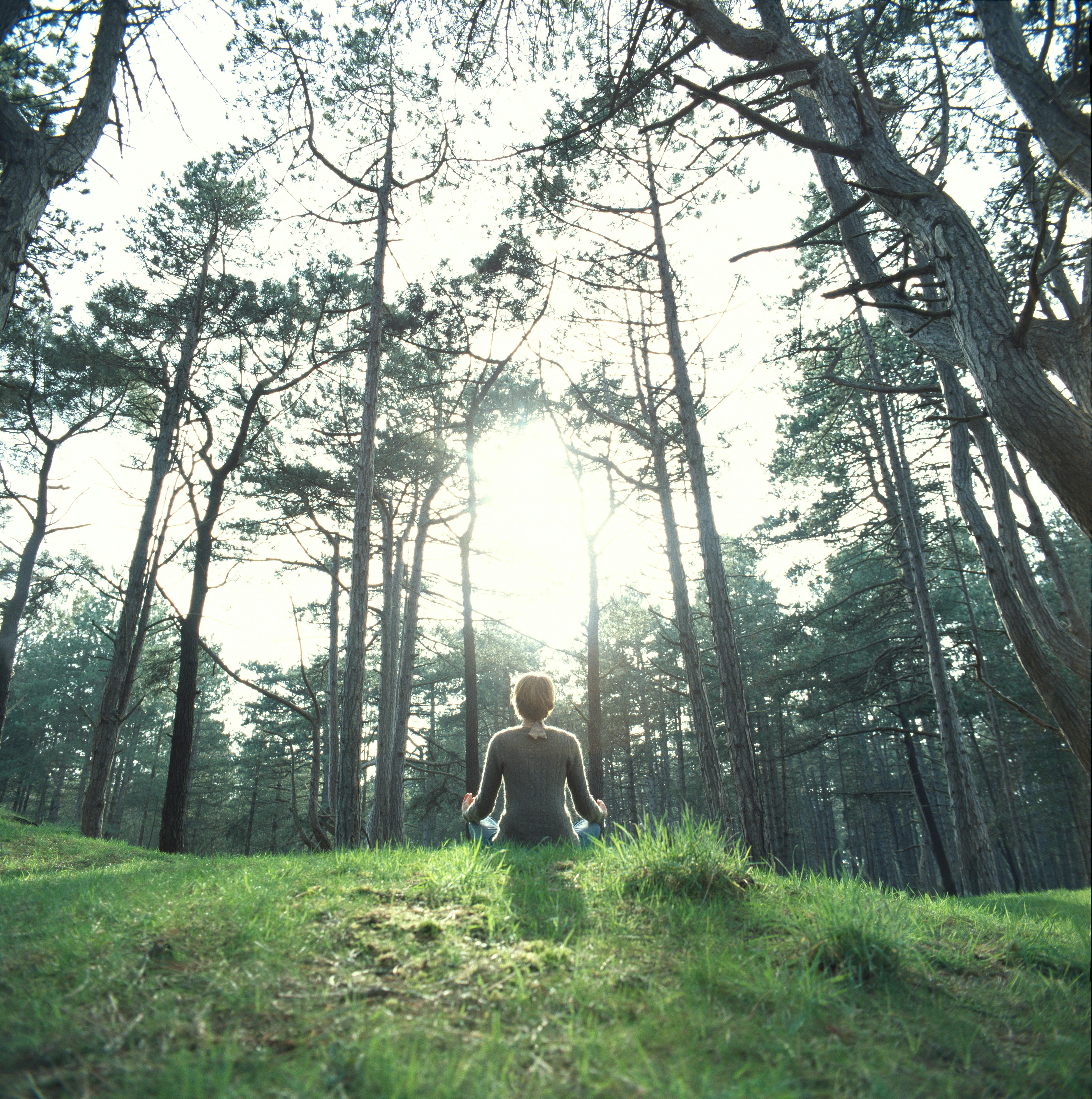 Ut i naturen: i natur