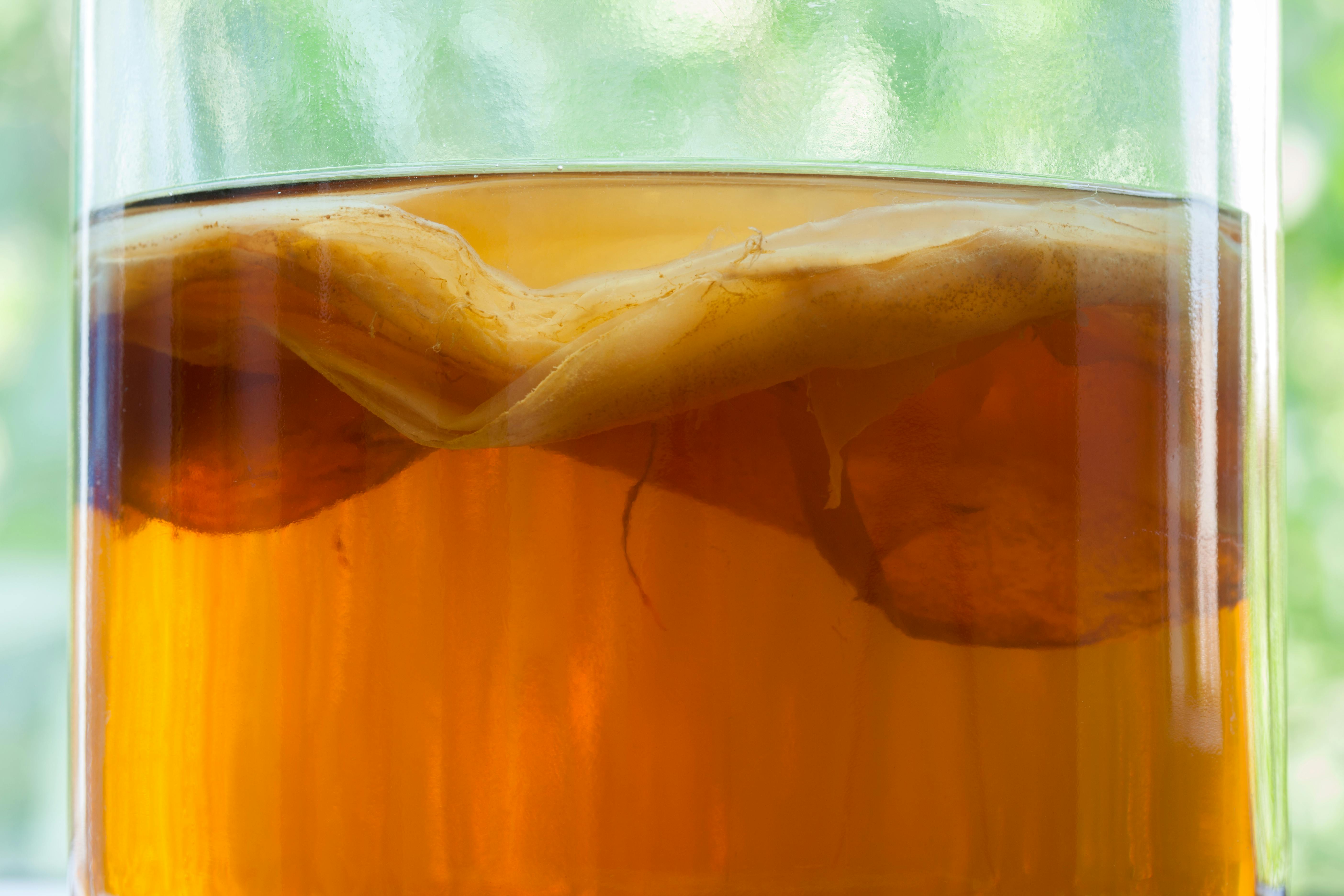 Kombucha scoby: kombucha scoby med te