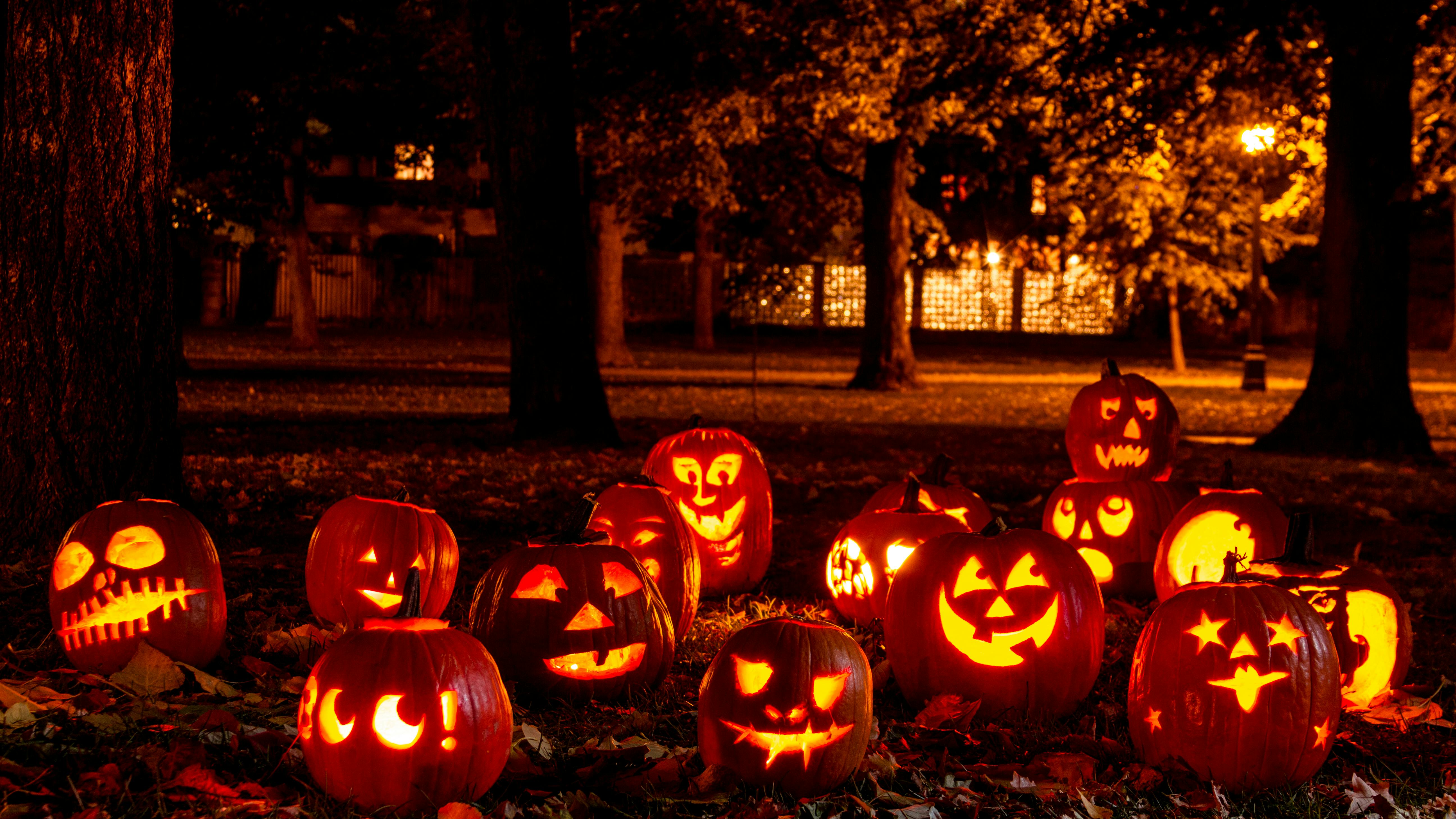 Skal du lave Halloween-græskar i år? Græskar udskæringer til Halloween