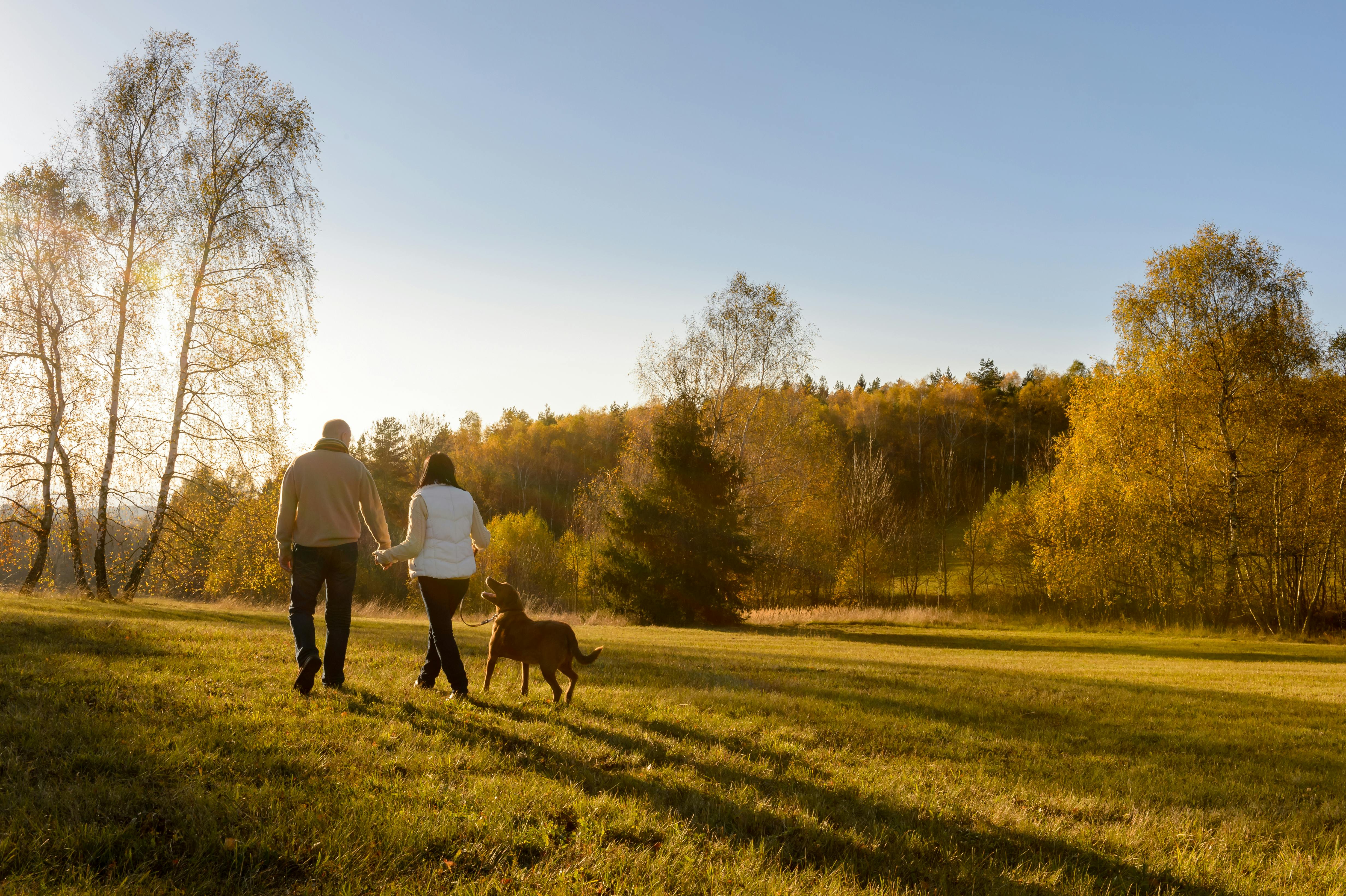 En gåtur gør underværker. Prøv selv! Par går tur med hund i naturen