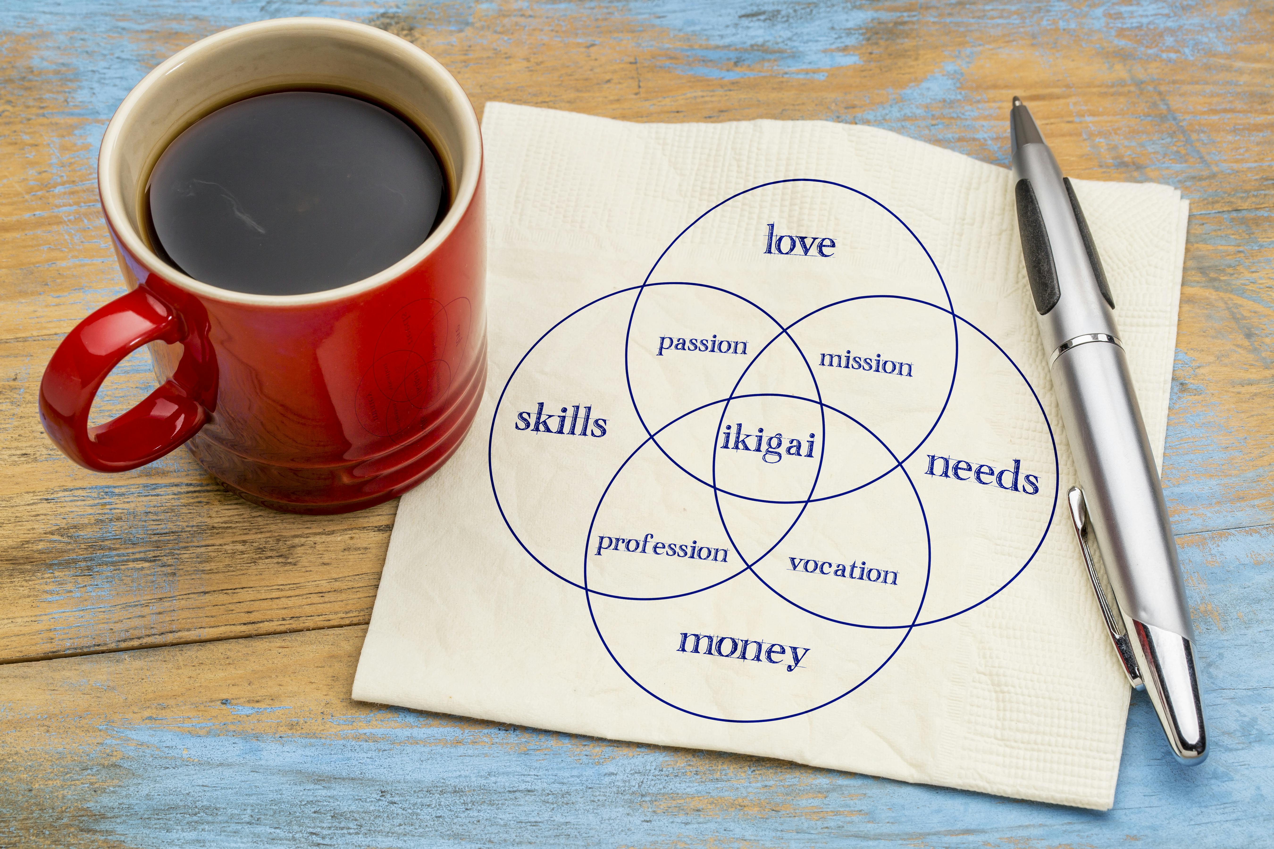 Finn din drøm - din ikigai: ikigai skjema