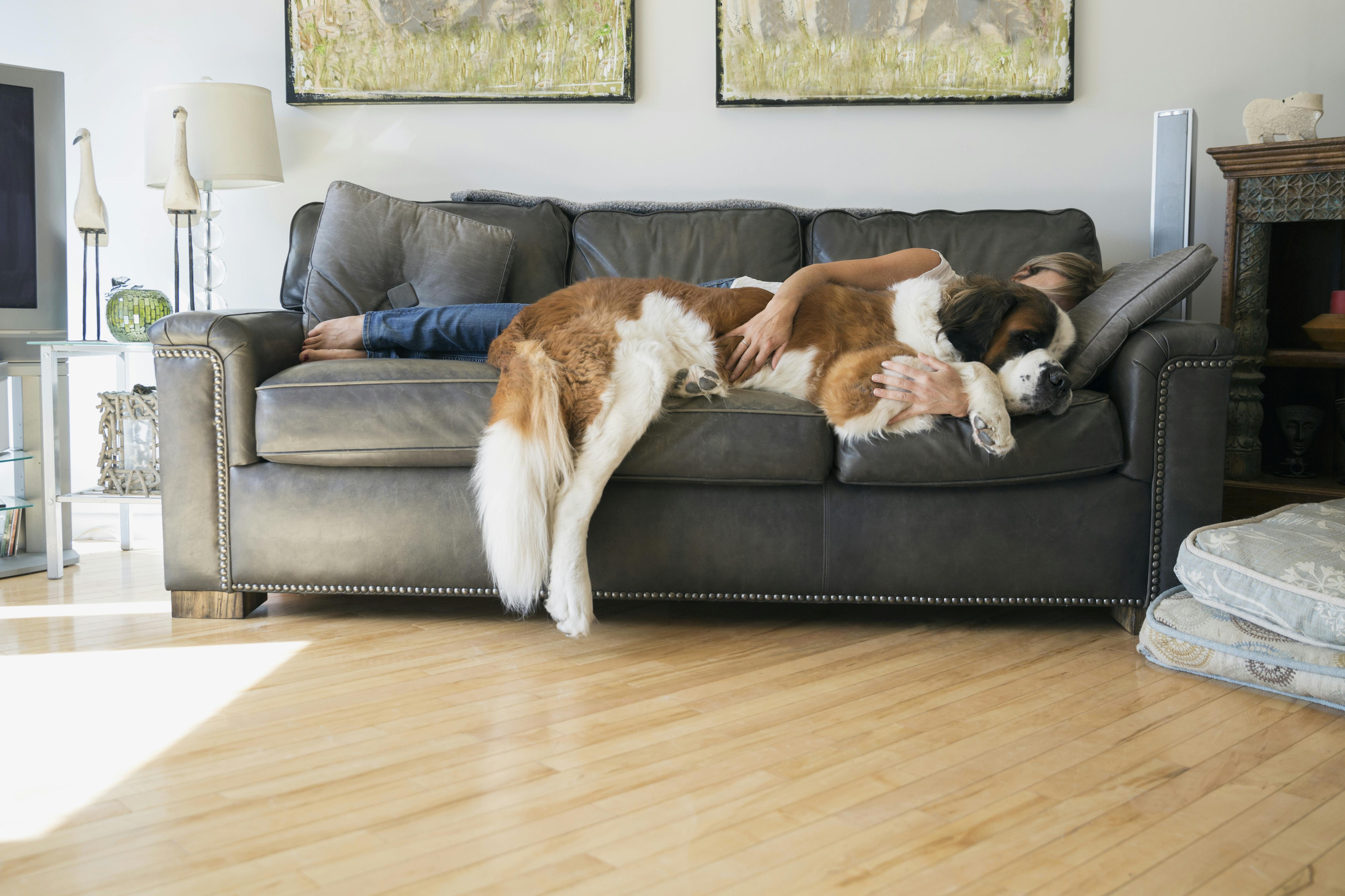 Powernapping: Powernapping: