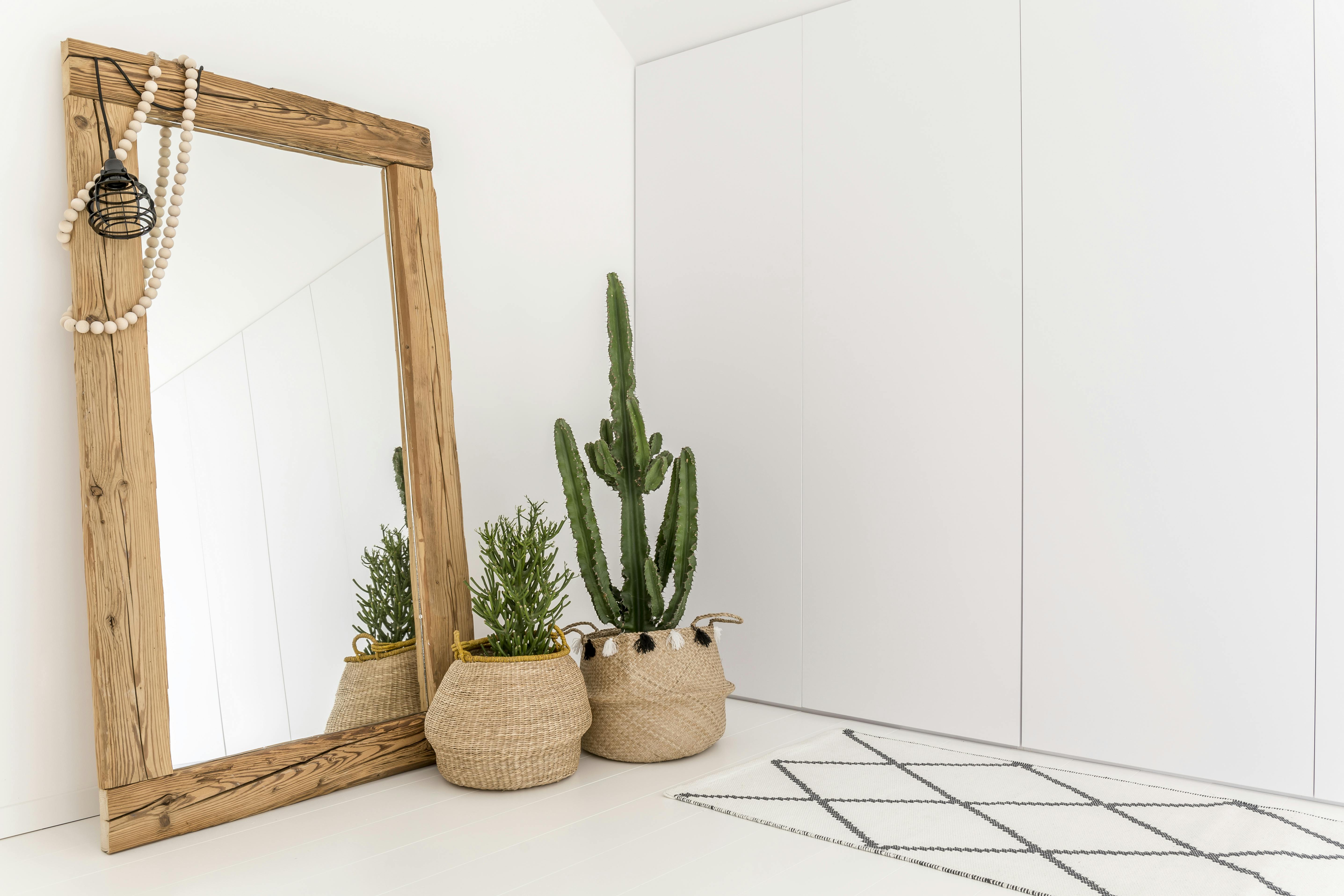 Store planter store planter i stua interiør