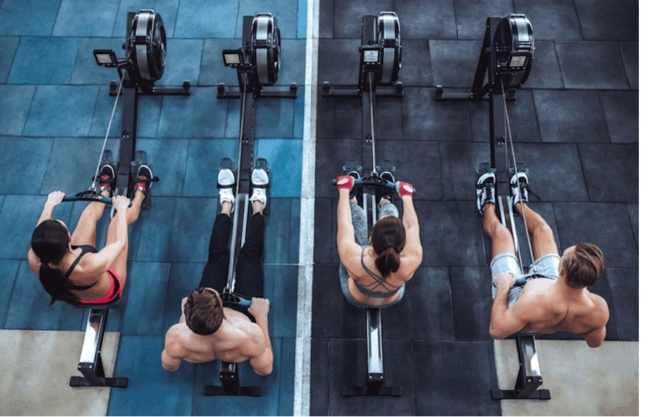 Träning i roddmaskin Män och kvinnor ror i roddmaskiner sida vid sida på ett gym