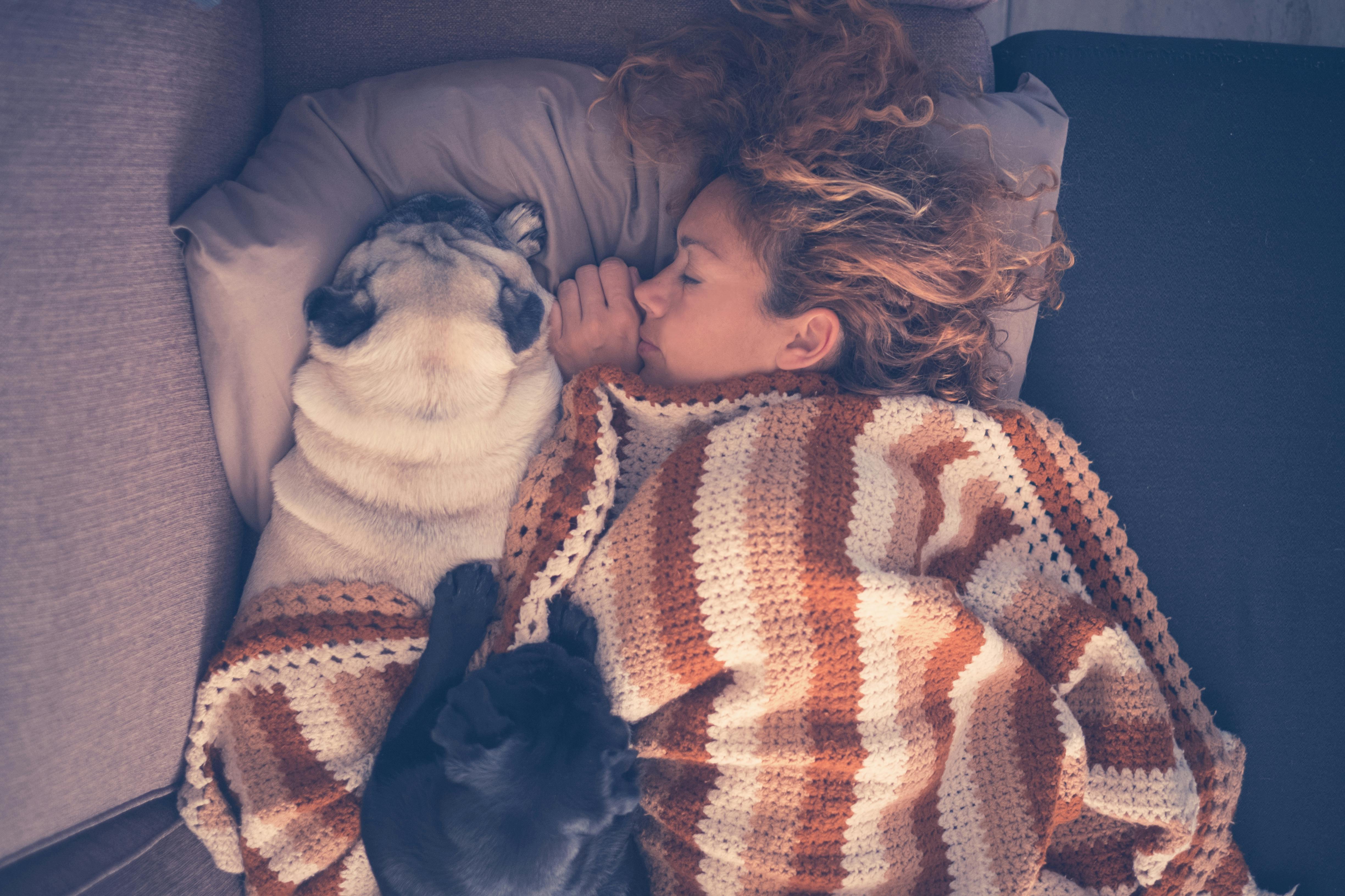 En hund kan blive din bedste ven – og sovemakker. Kvinde der sover med sine hunde