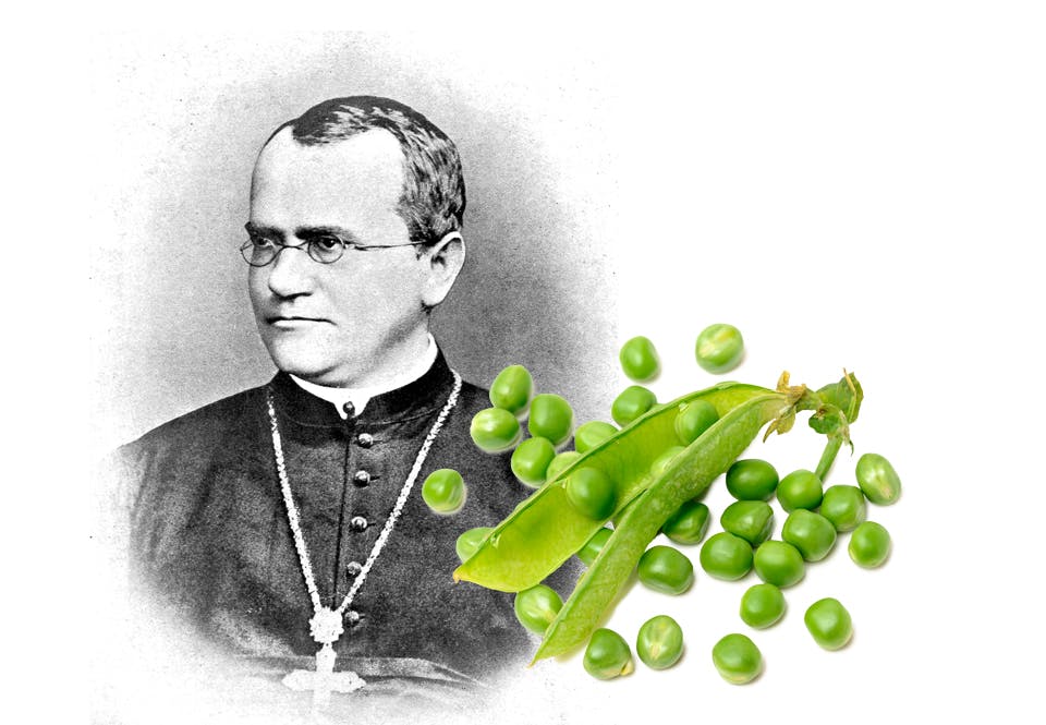 Munken och forskaren Gregor Mendel
