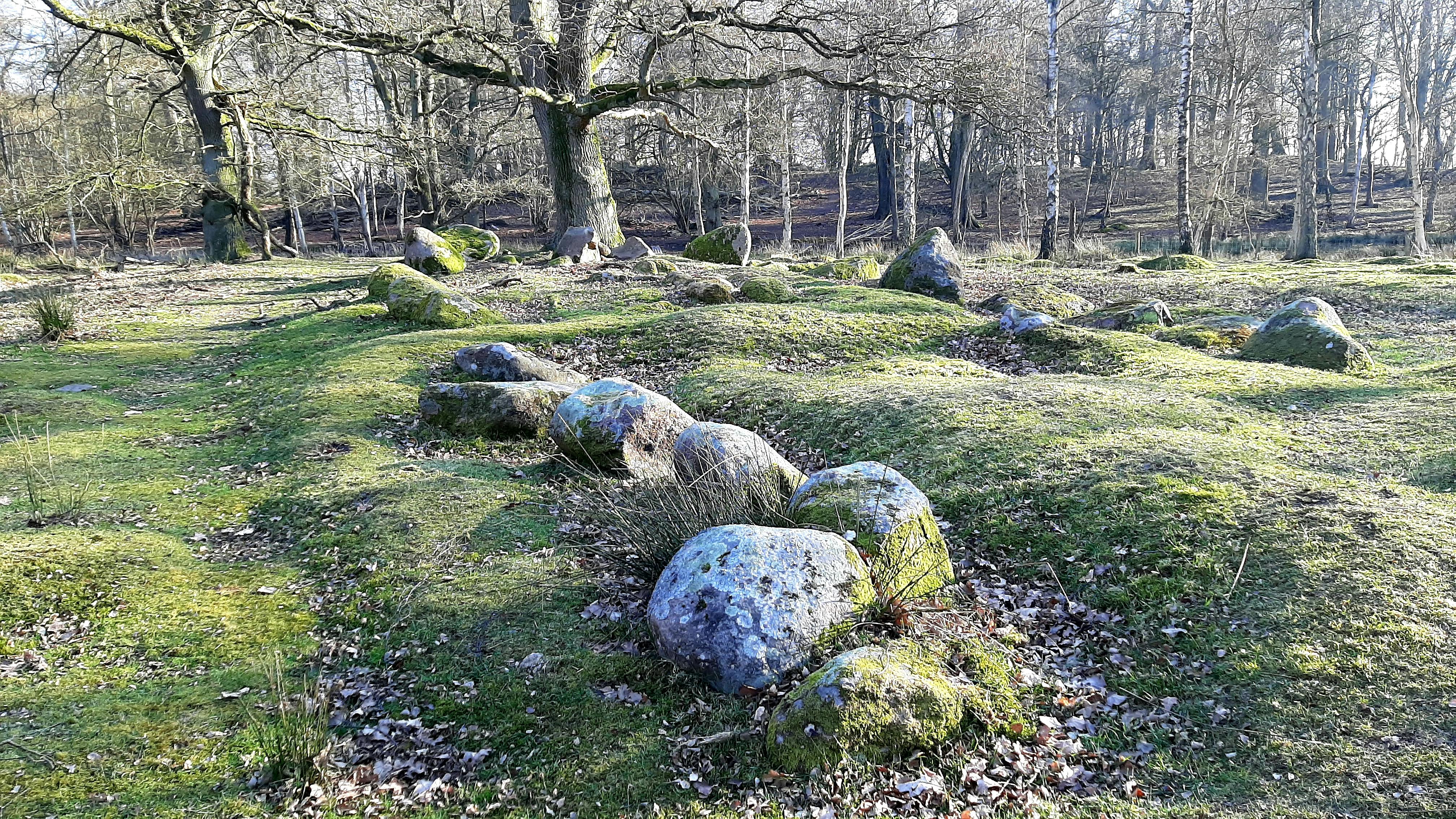 Tag tilbage til fortiden ved Halskov Vænge på Falster. Halskov Vænge