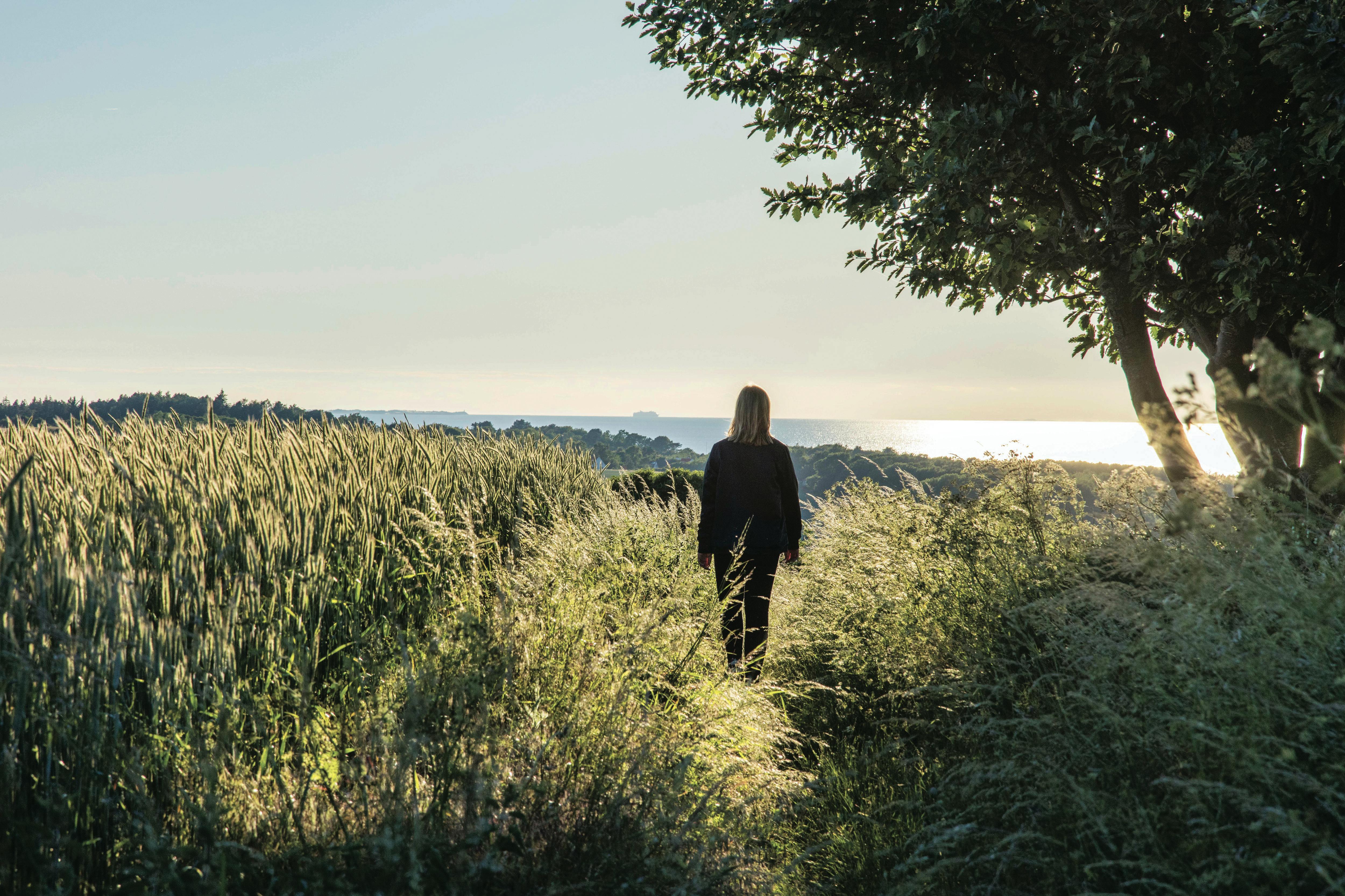 Det er i ferien du har ekstra god tid til å gå lange turer: skogstur danmark