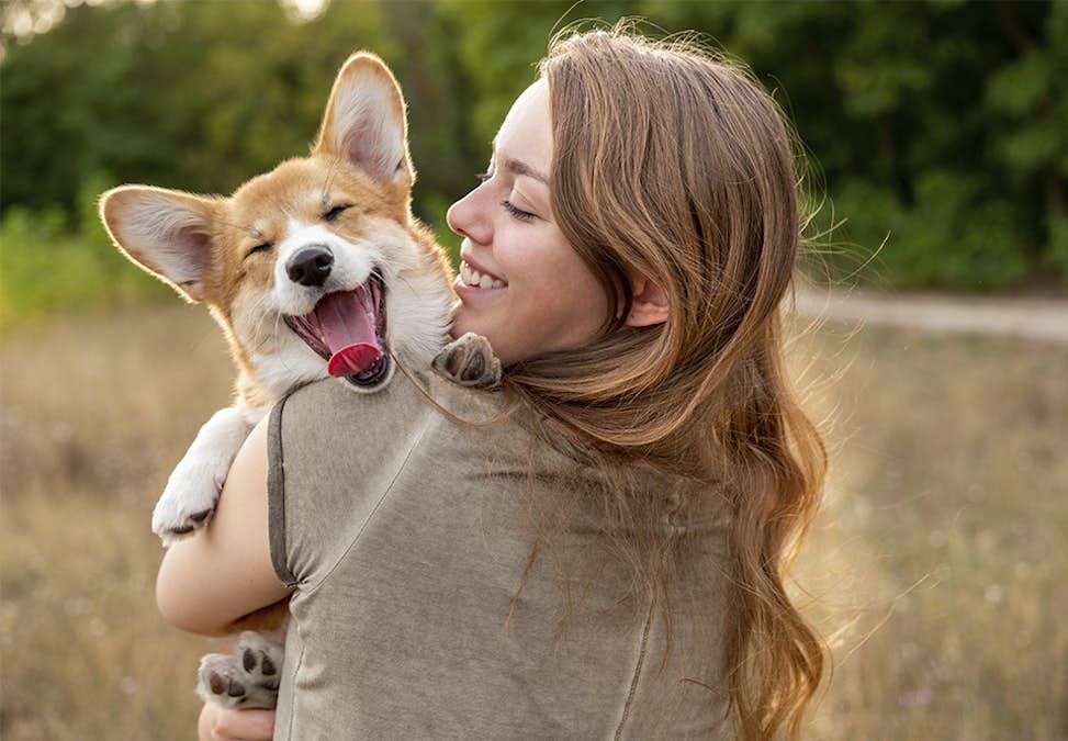skjule I modsætning til Medicinsk malpractice Test dig selv: Hvilken slags hund er du? | Woman.dk