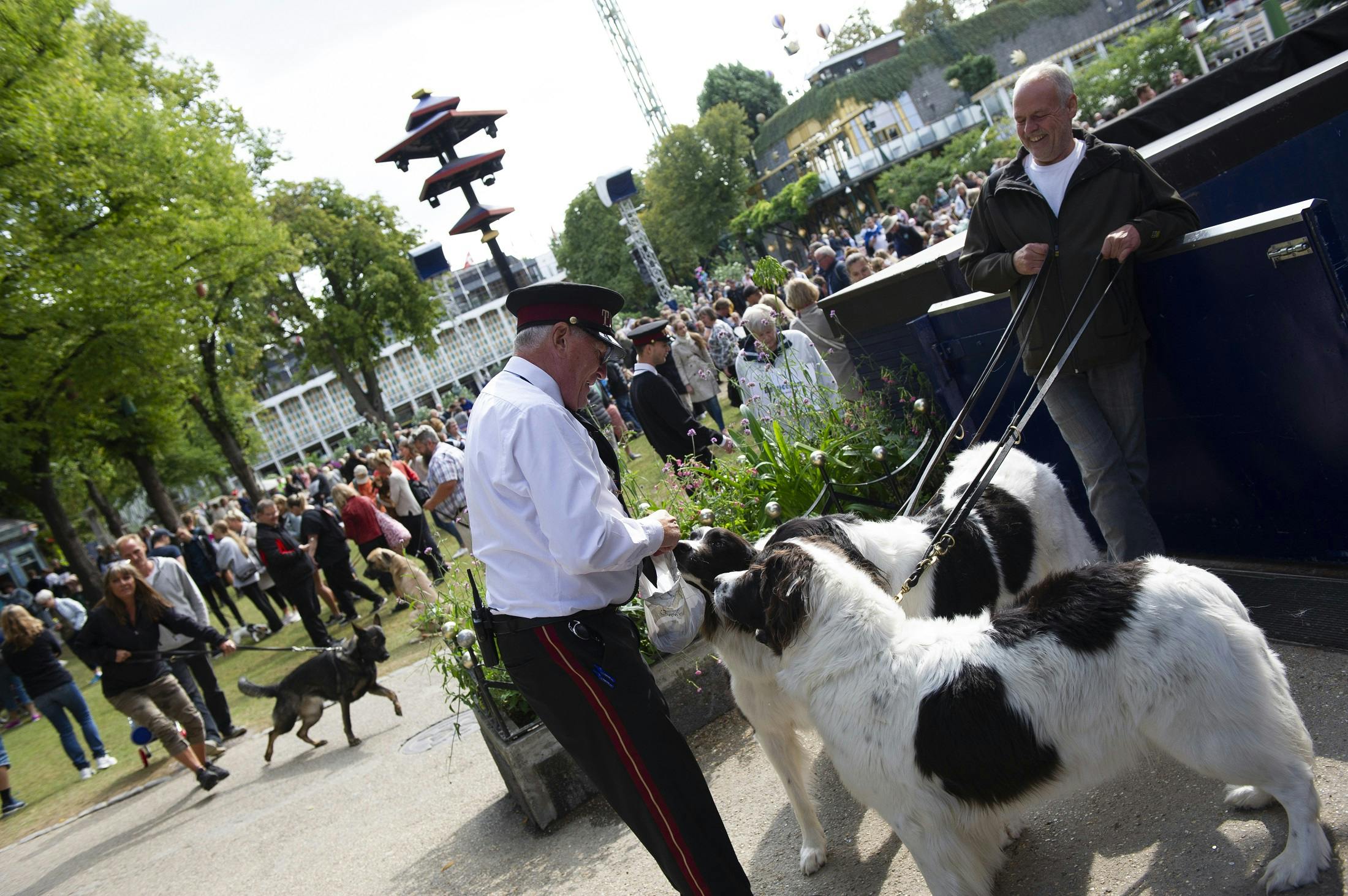 Tivoli fyldes op med hunde og deres ejere. Hundens dag Tivoli