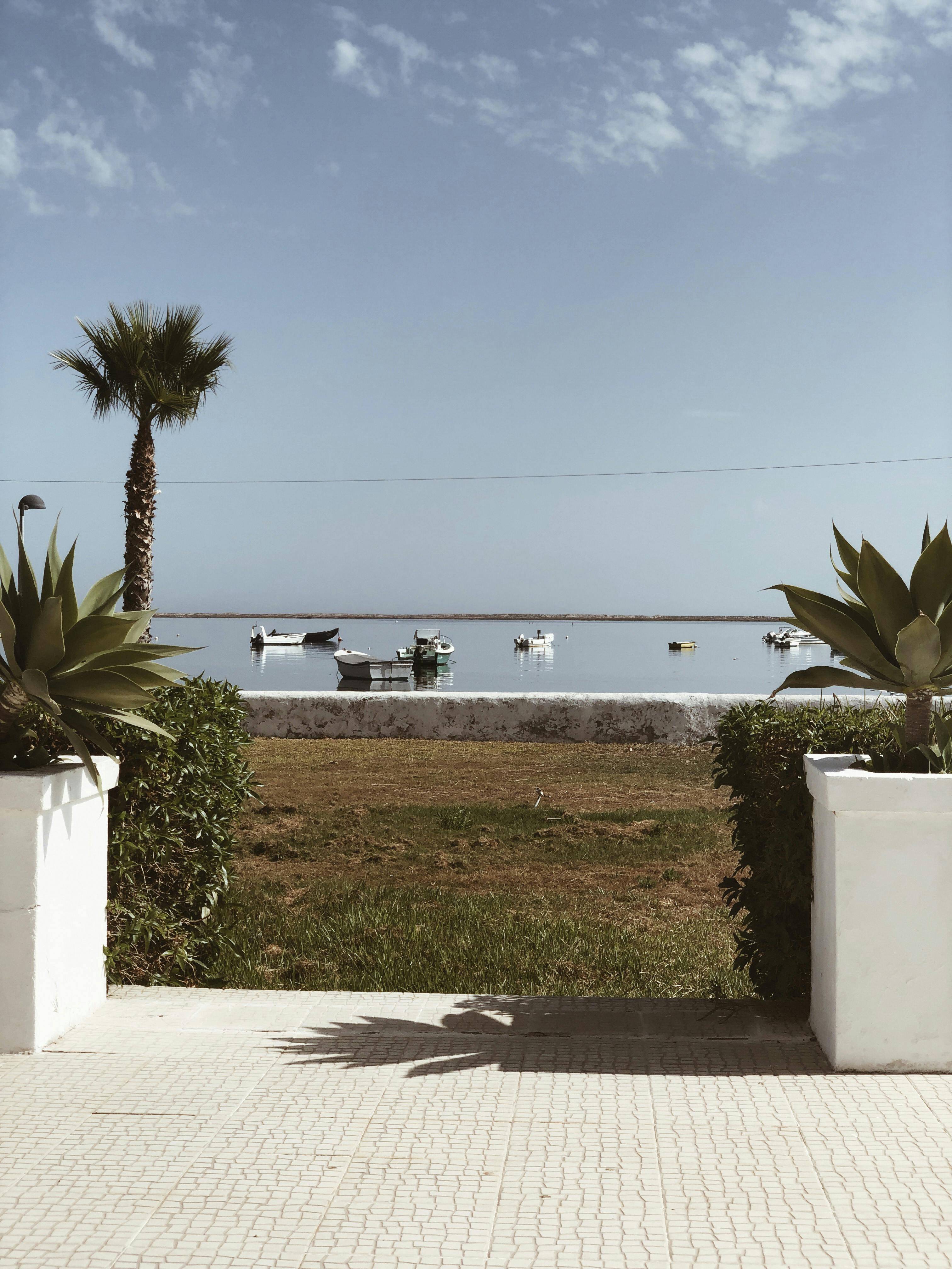 Ver weg van Denemarken zijn de zon en de zee nooit ver weg. Portugal haven met palm