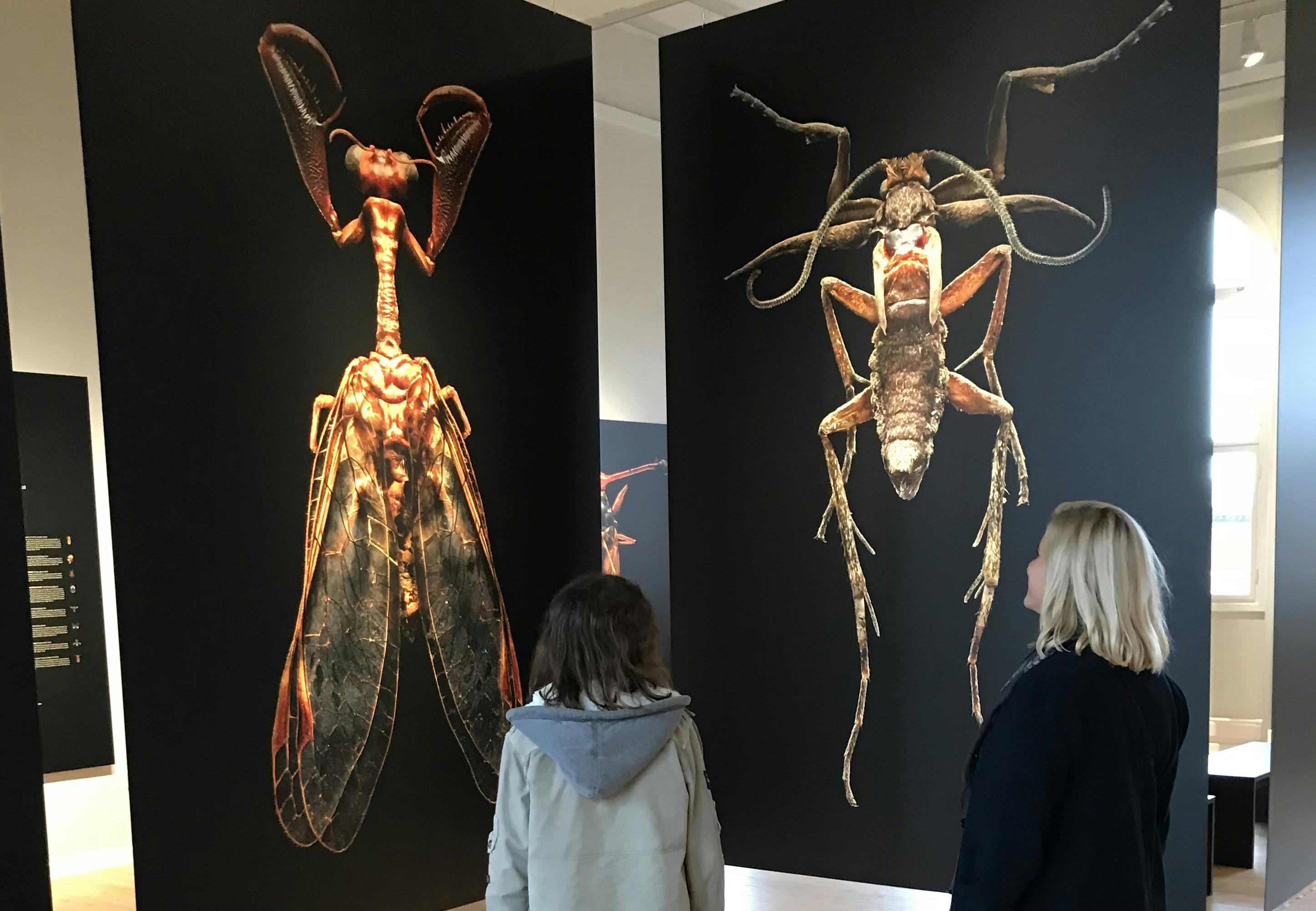 Betaget af biller microsculptures af levon biss