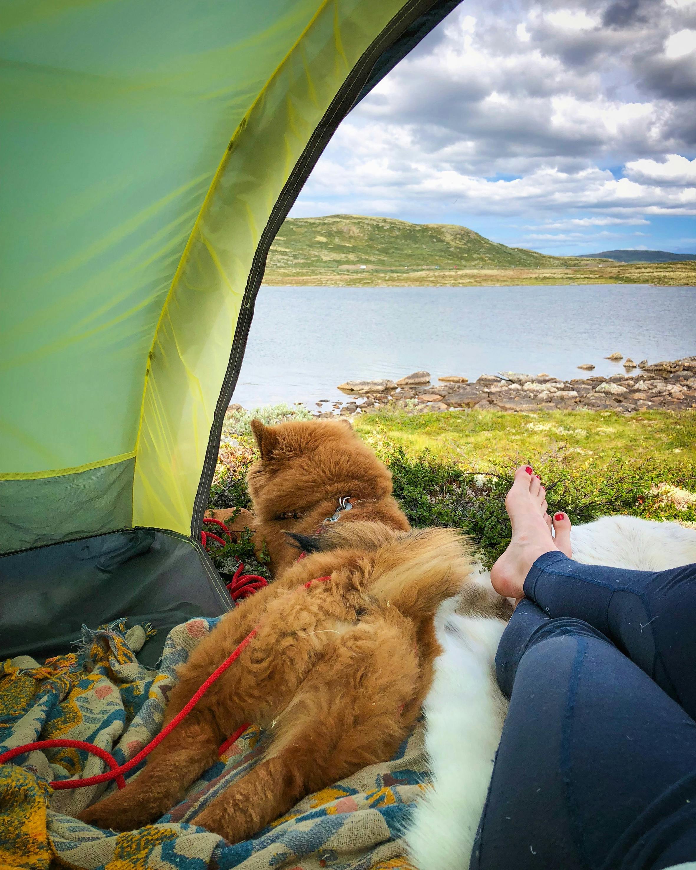 Hardangervidda.