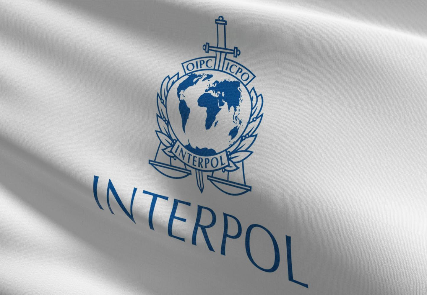 Interpol anholder 1003 personer Interpol anholder 1003 personer