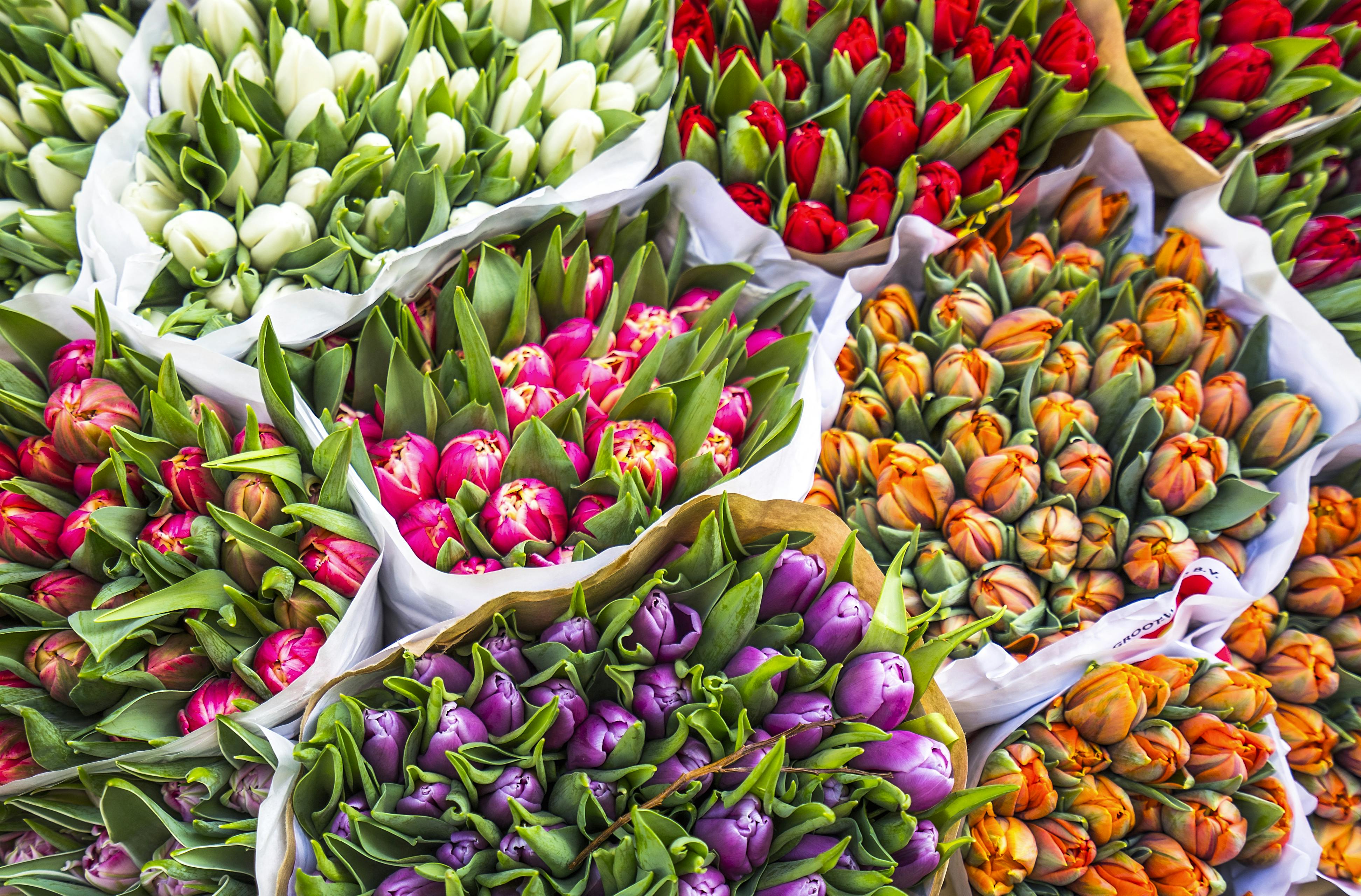Blomster