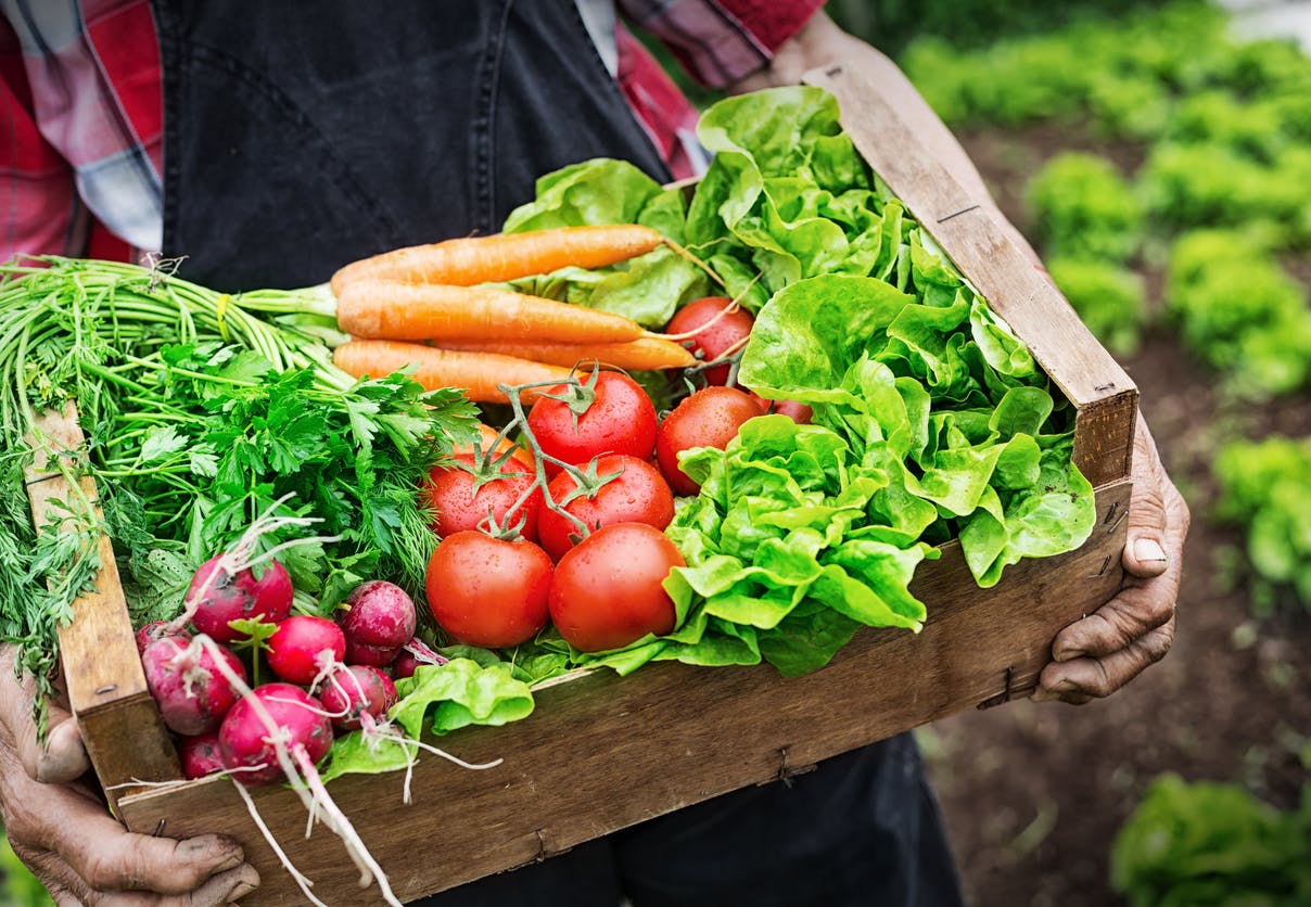 Clean Eating Clean Eating - Alt om Clean Eating