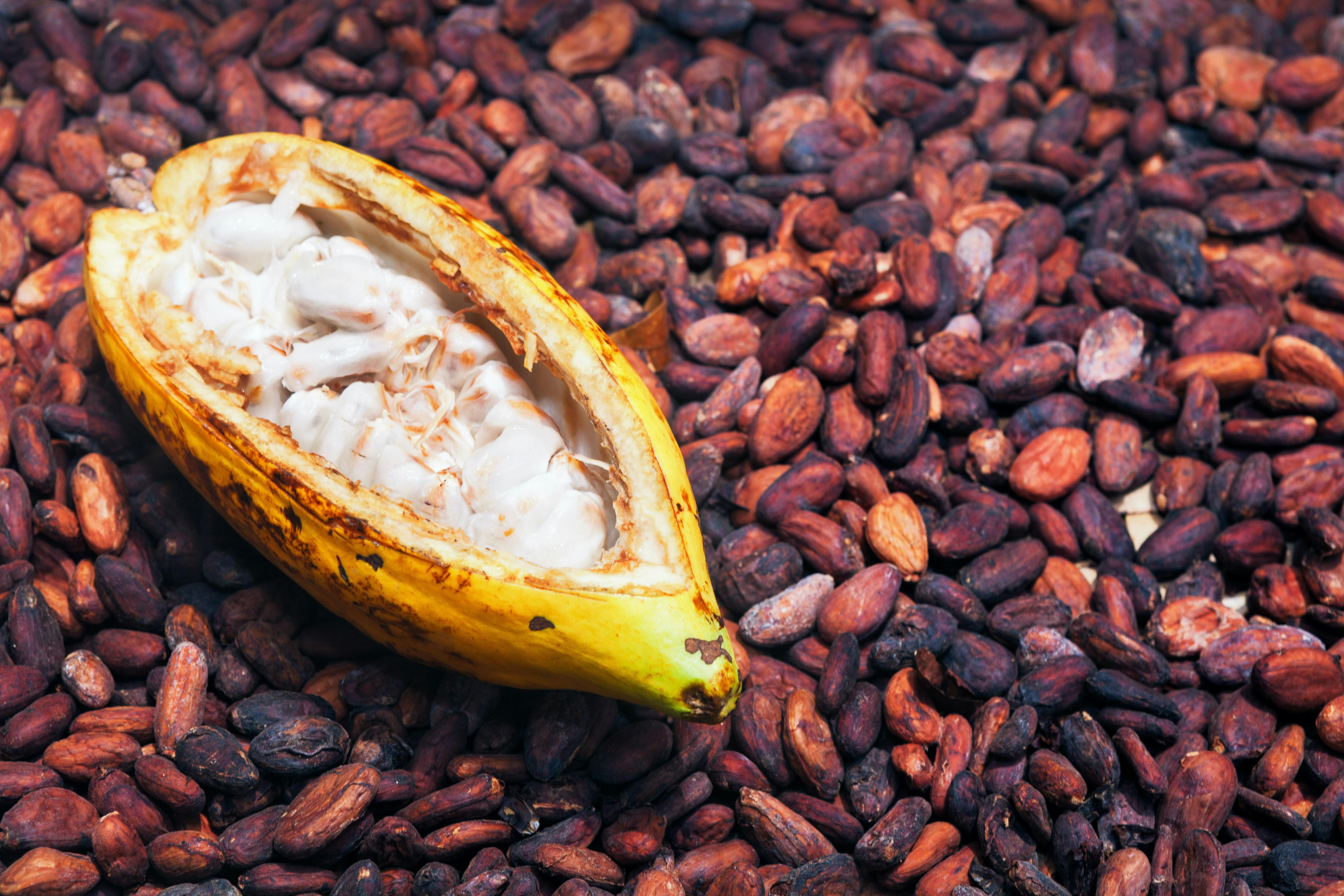 Kakao innehåller superämnen | Iform.se