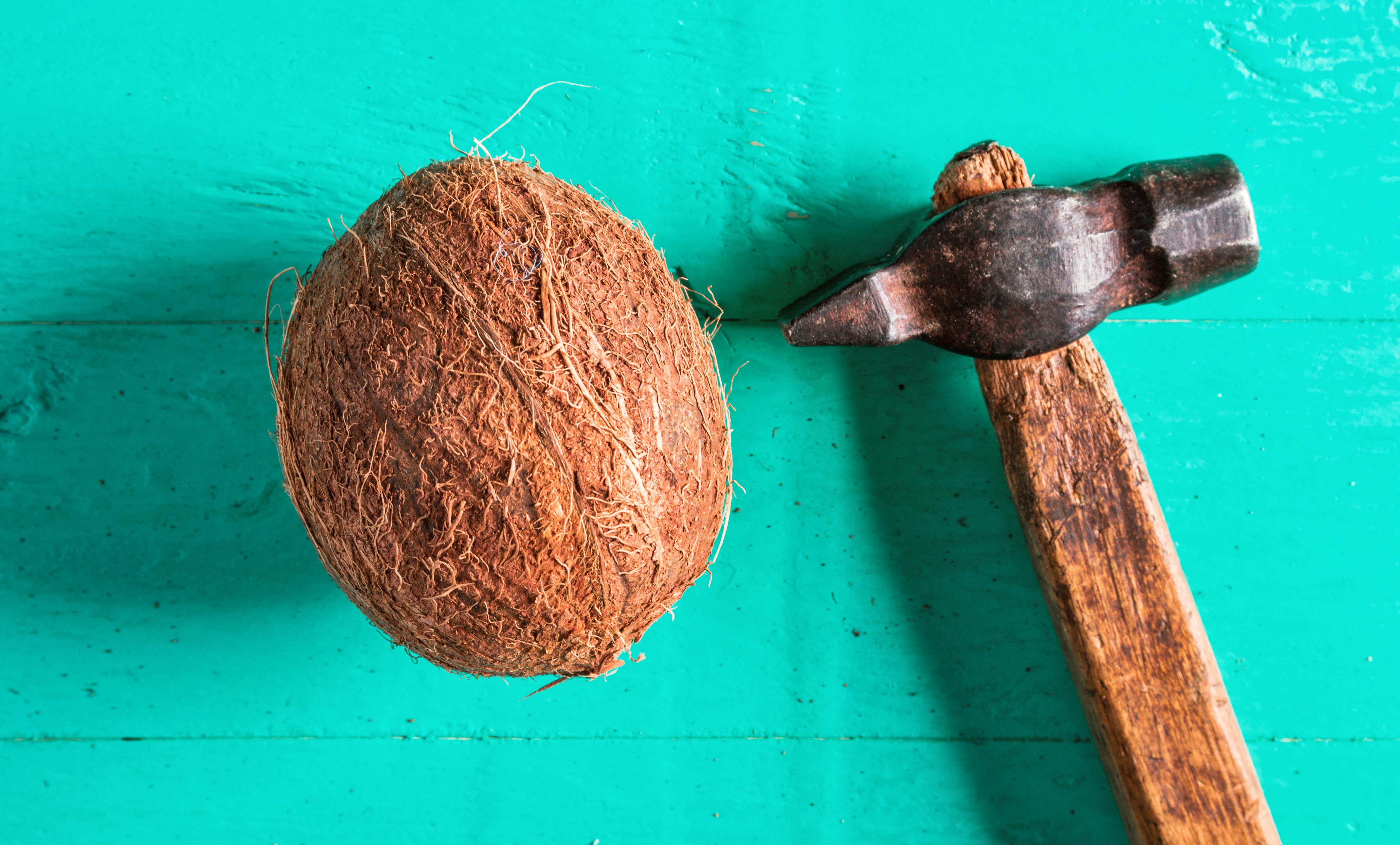 Kokosnød og hammer_NO
