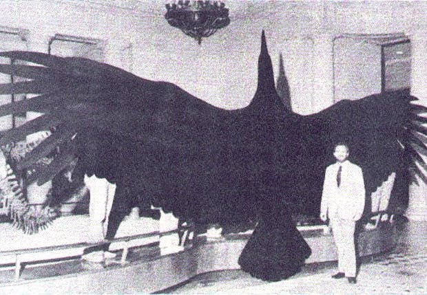 Megalodon had tanden van 15 cm en wordt wel een locomotief met een bek vol slagersmessen genoemd. Megalodon had tanden van 15 cm en wordt wel een locomotief met een bek vol slagersmessen genoemd.