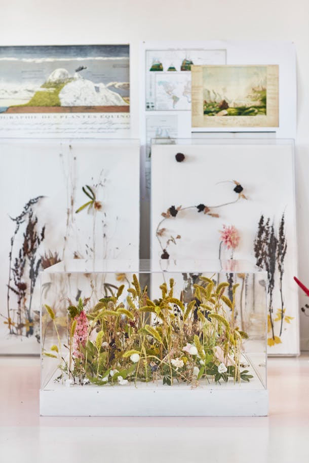 Boven een van haar werken hangt Von Humboldts ‘Naturgemälde’, een kaart van de geografie van planten. studio Ja plantenkunst kigge hvid