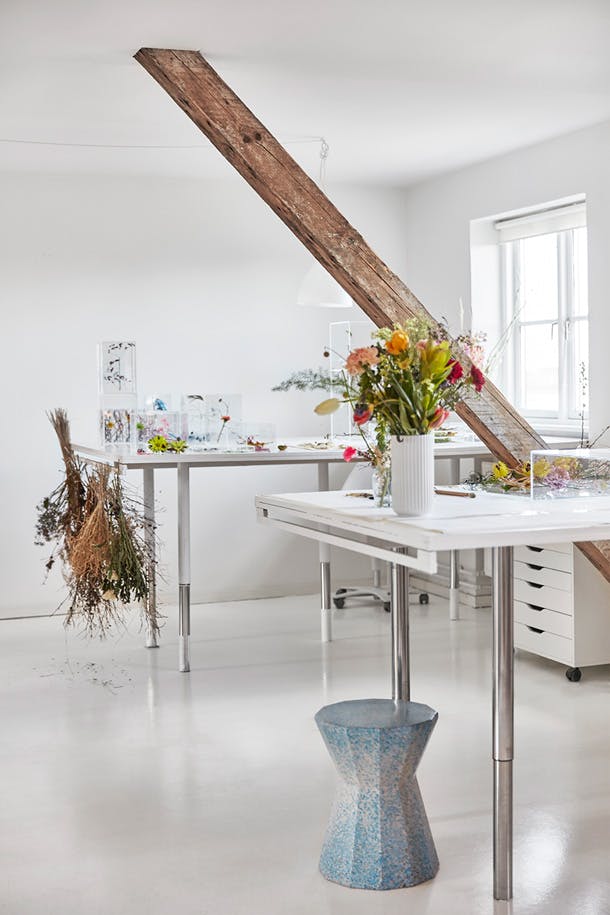 Kigges studio JA op het voormalig industrie-eiland Refshaleøen Studio Ja plantenkunst kigge hvid