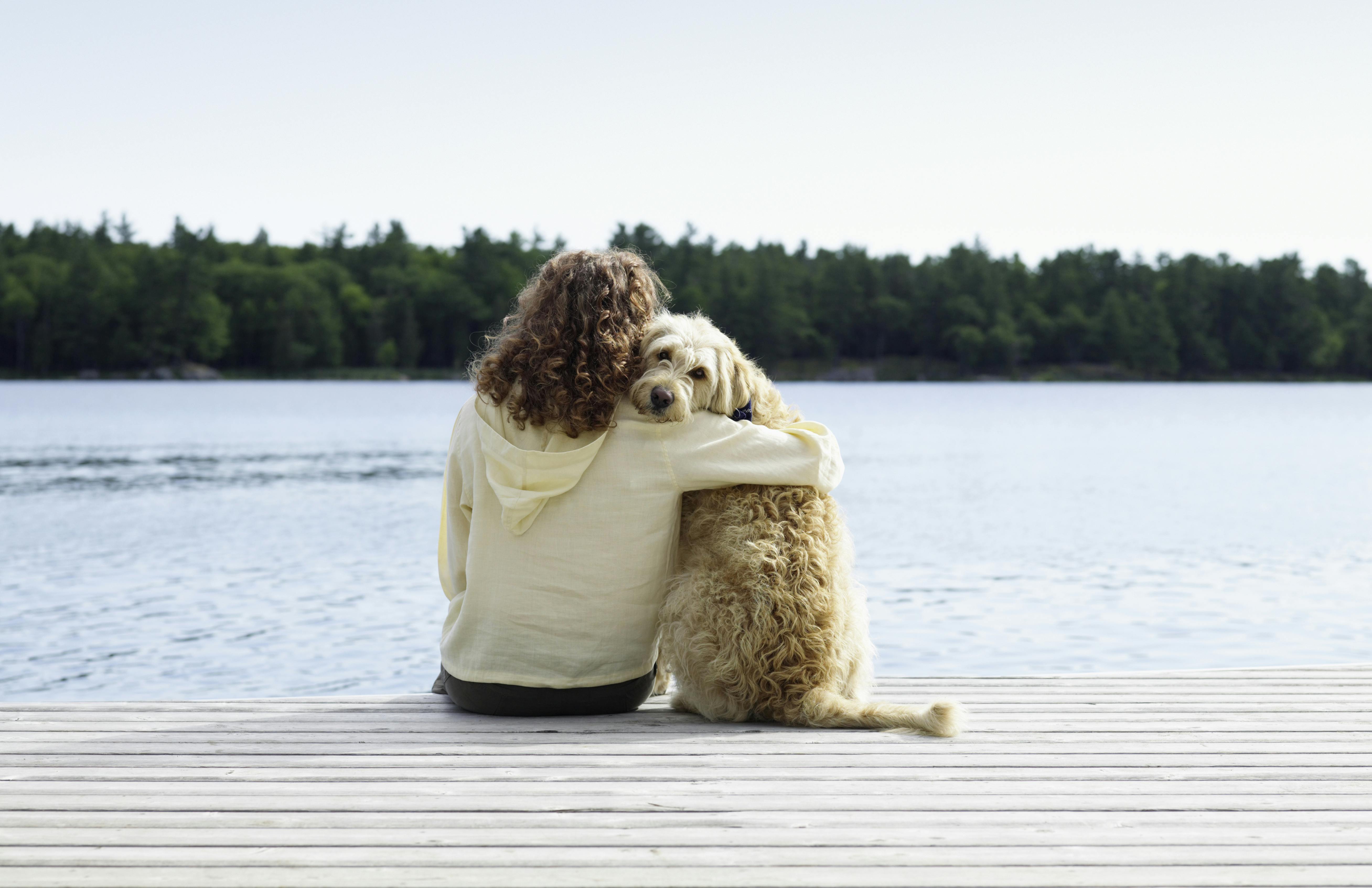 Kos med hunden: hund helse
