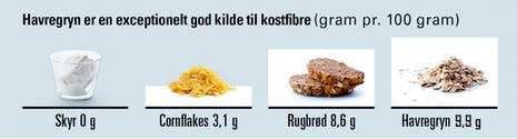 Kostfibre i havregryn, rugbrød, cornflakes og skyr
