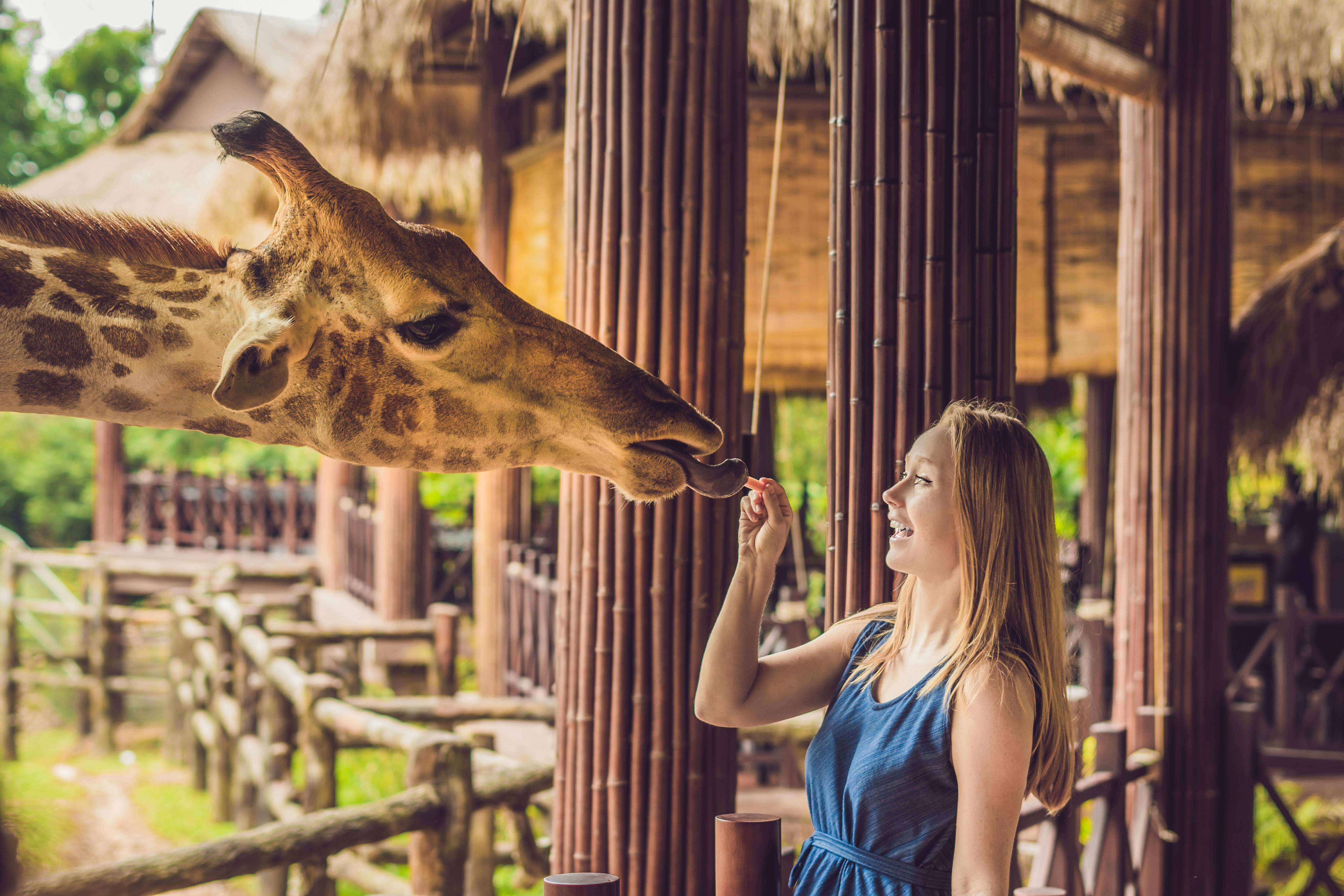 Siden hvornår er de nuttede giraffer forbeholdt små børn? Vi ELSKER dem! Kvinde med giraf