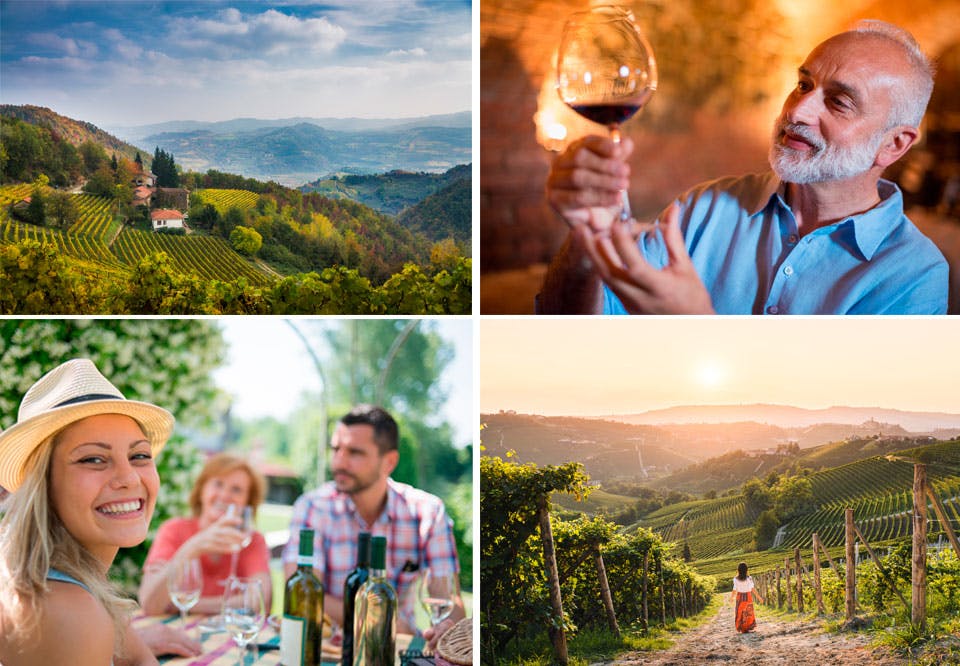 Piemontoe, Italia, reise, vinranker