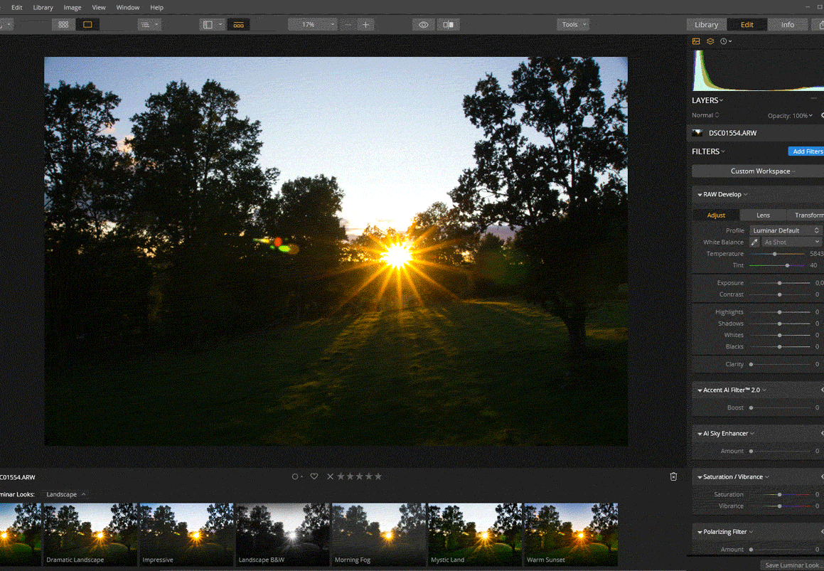 Looks i Luminar 3