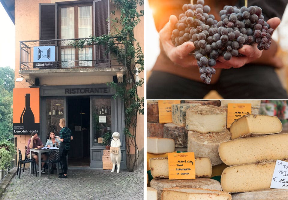 Piemontoe, Italia, reise, vin, druer