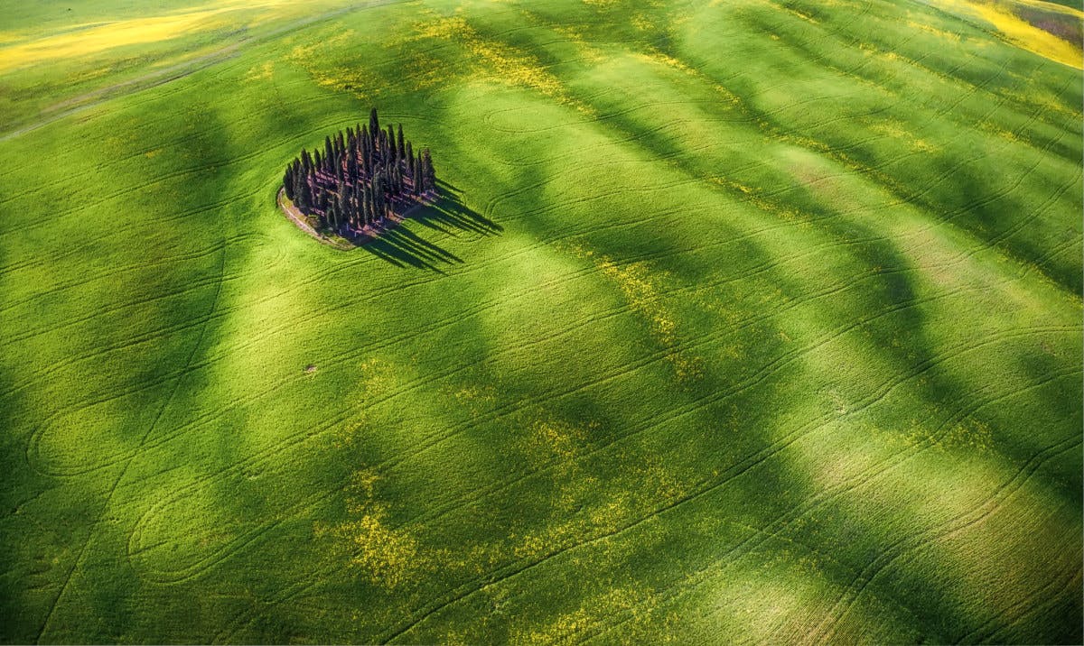 Green Waves Vinnande bild från fototävlingen SkyPixel 2016