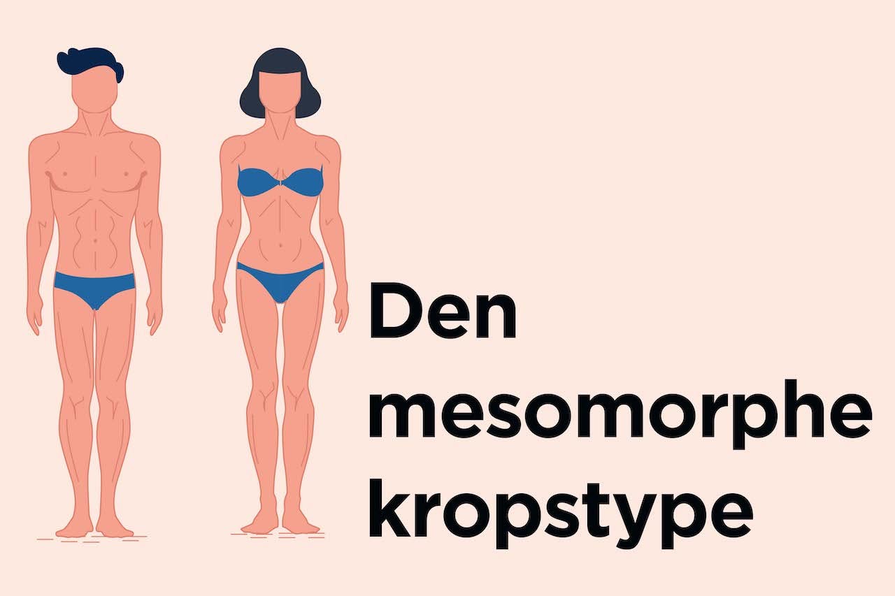 Den mesomorphe kropstype er naturligt muskuløs og er typisk mere atletisk. illustration af den mesomorphe kropstype