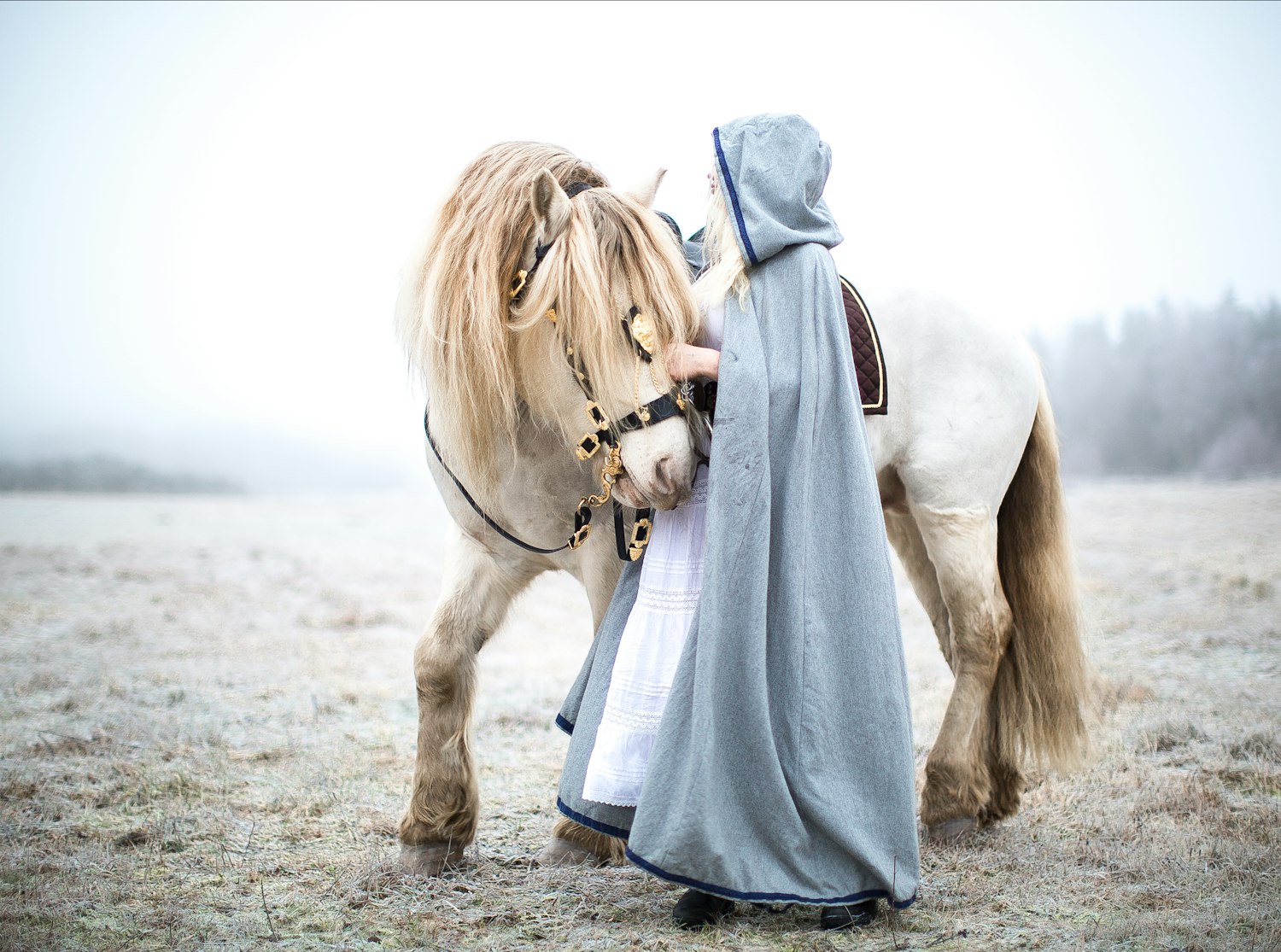 Мусульманские лошади. Фотосессия с лошадьми. Мусульманка на лошади. Девушка в хиджабе на лошади. Девушка с лошадью.