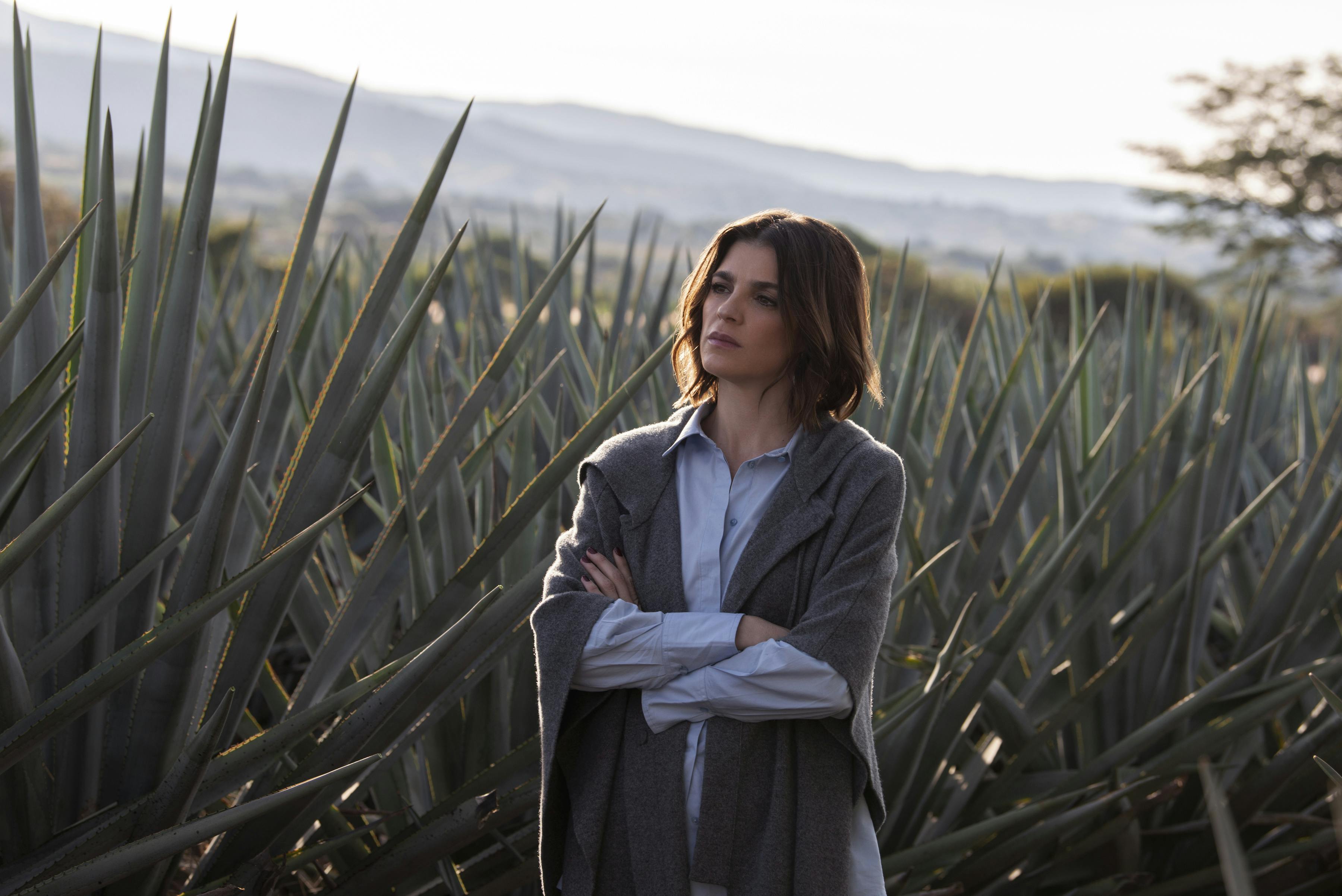 Monarca handler om en familie i tequila-industrien i Mexico. Monarca på Netflix