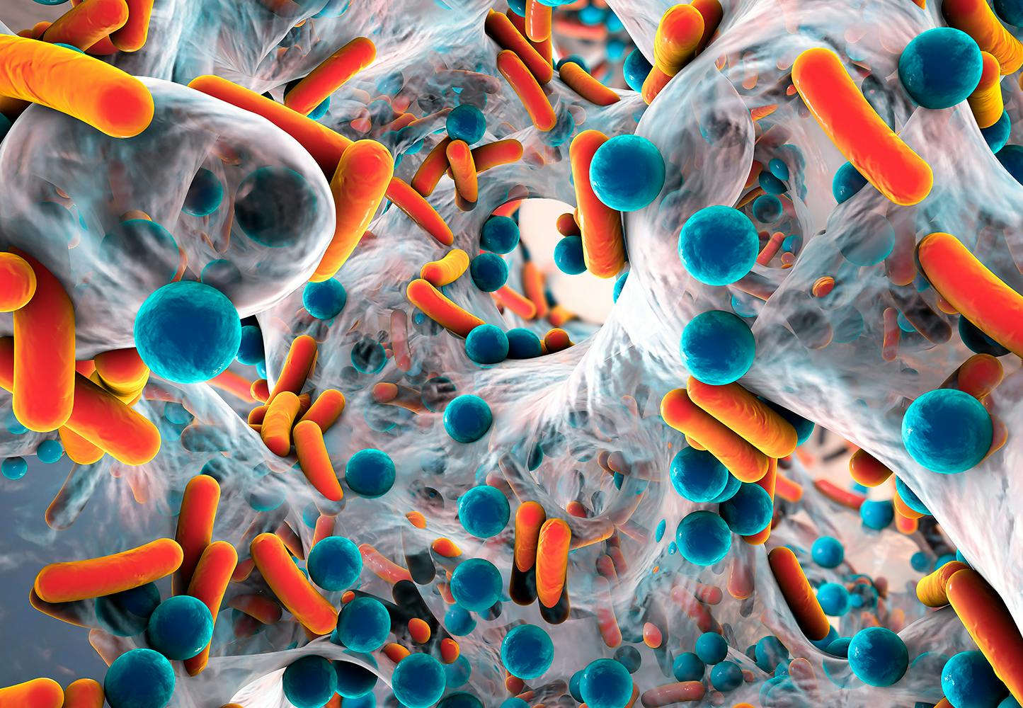 Multiresistente bakterier